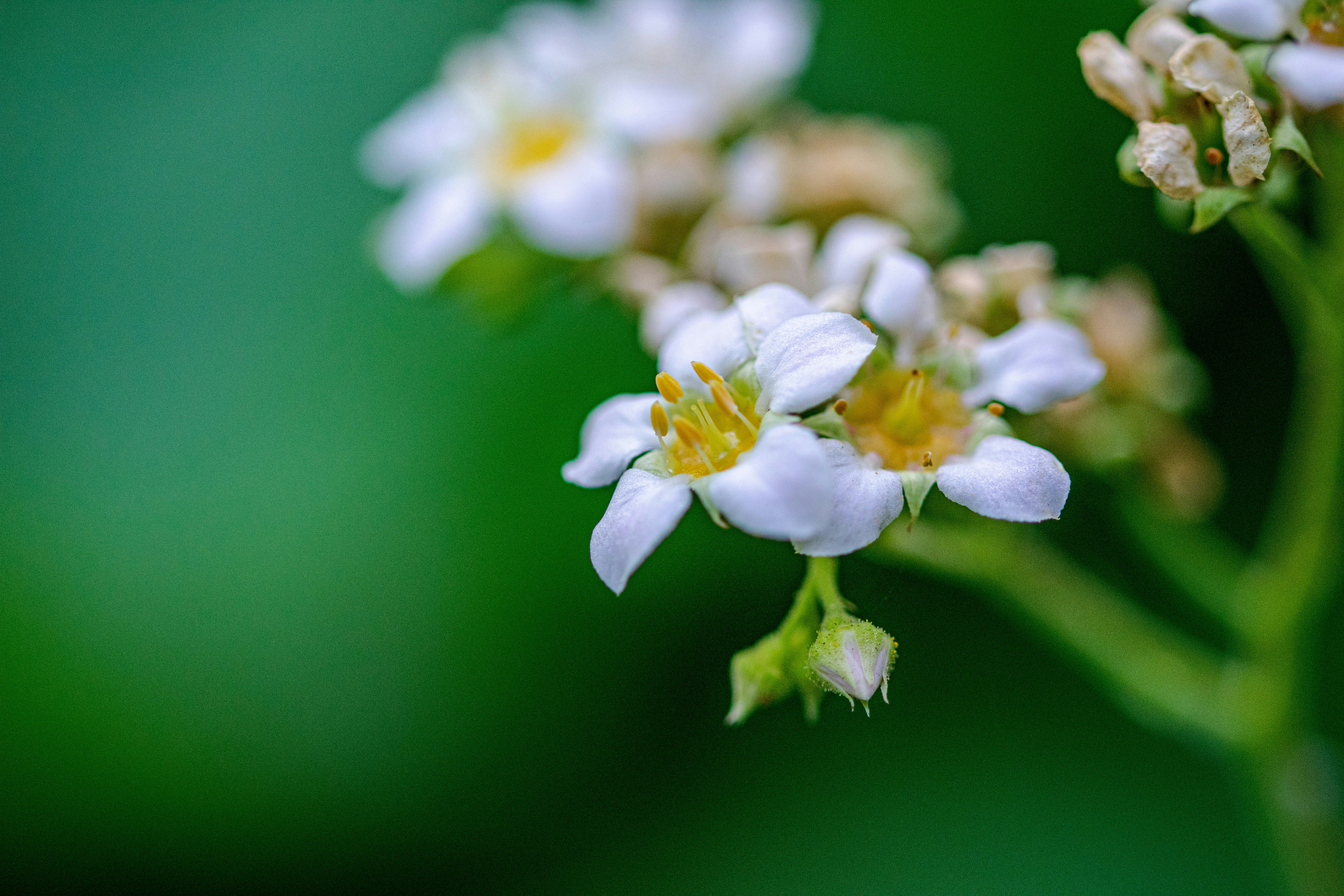 Photo by ellephant_photography