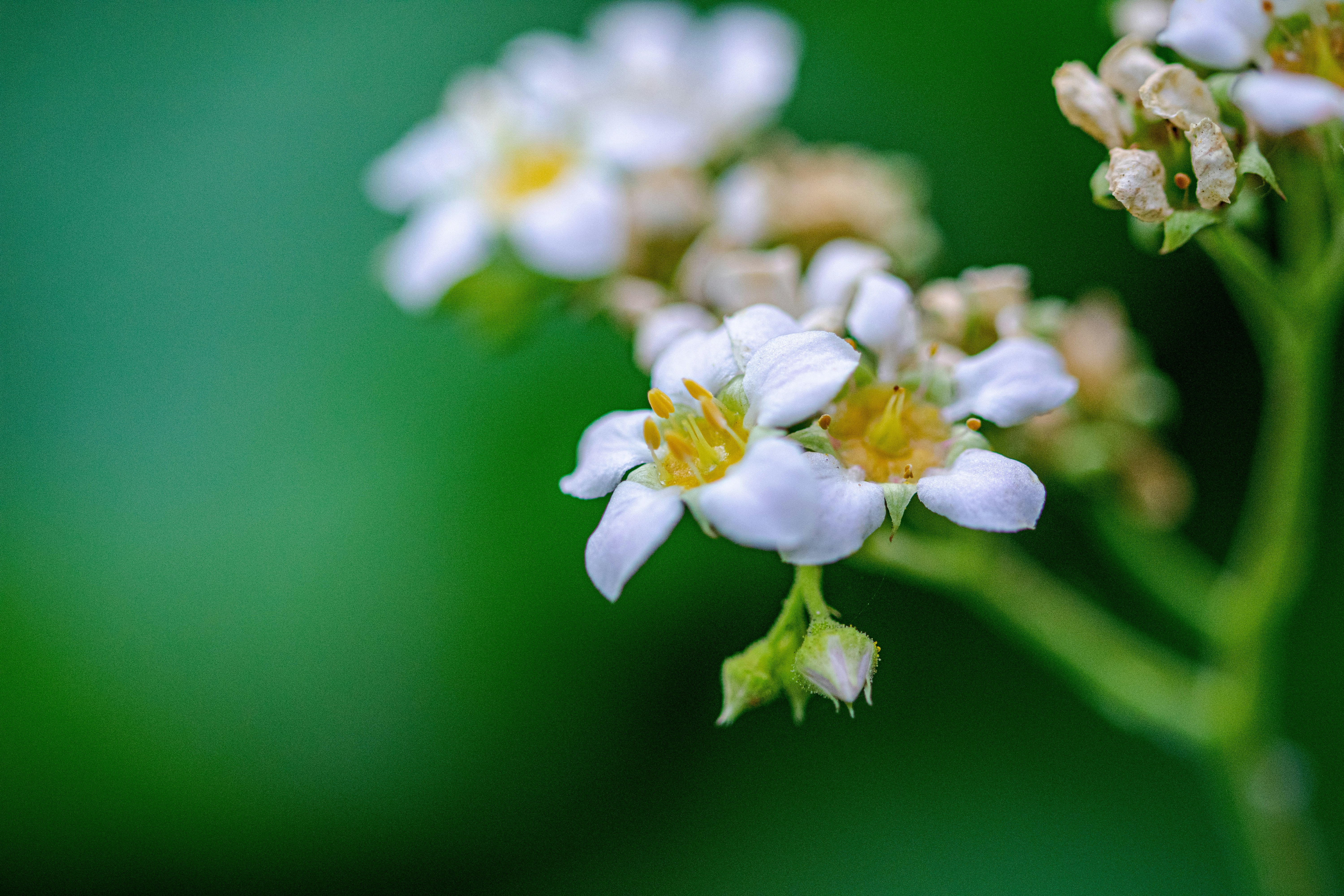 Photo by ellephant_photography