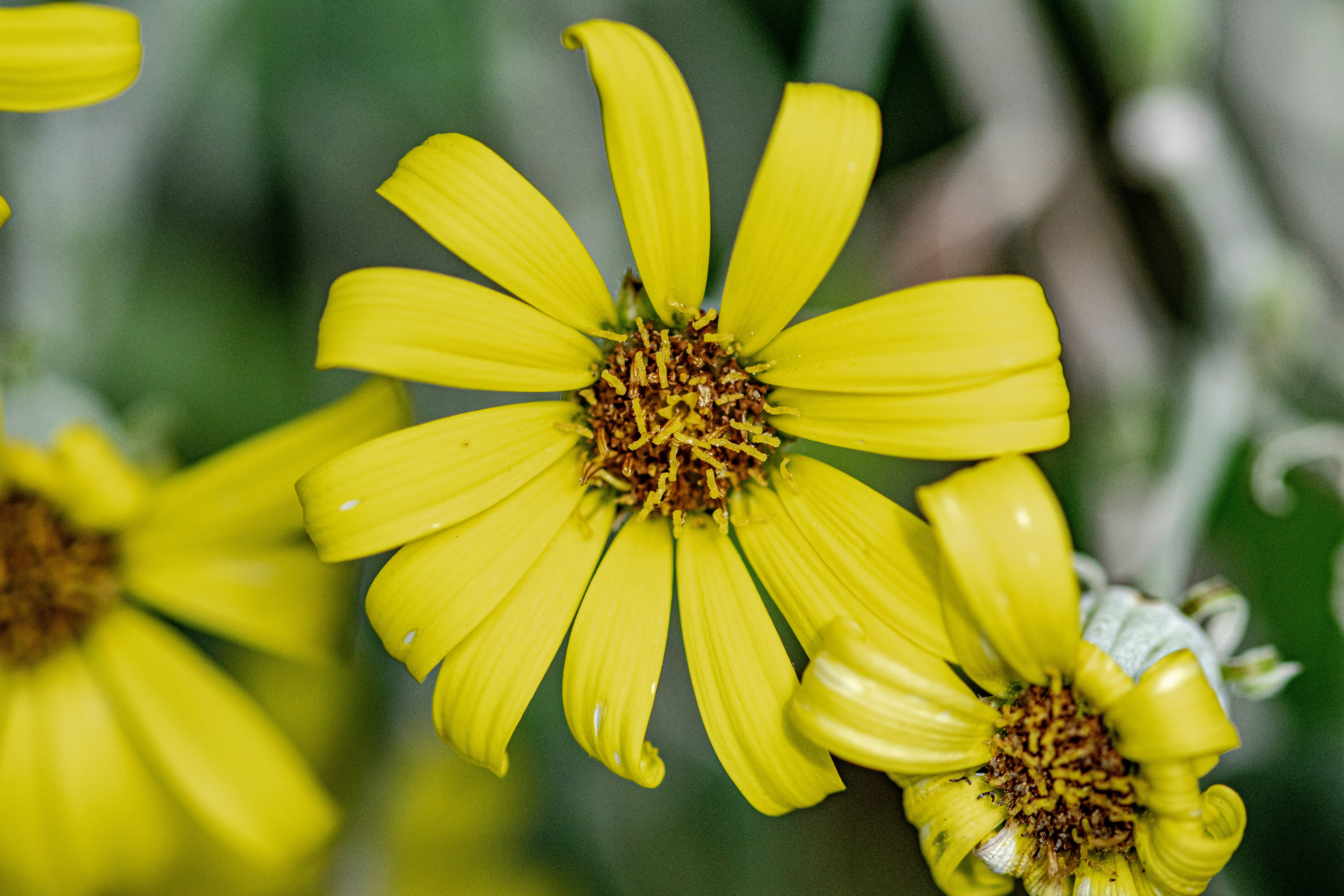 Photo by ellephant_photography