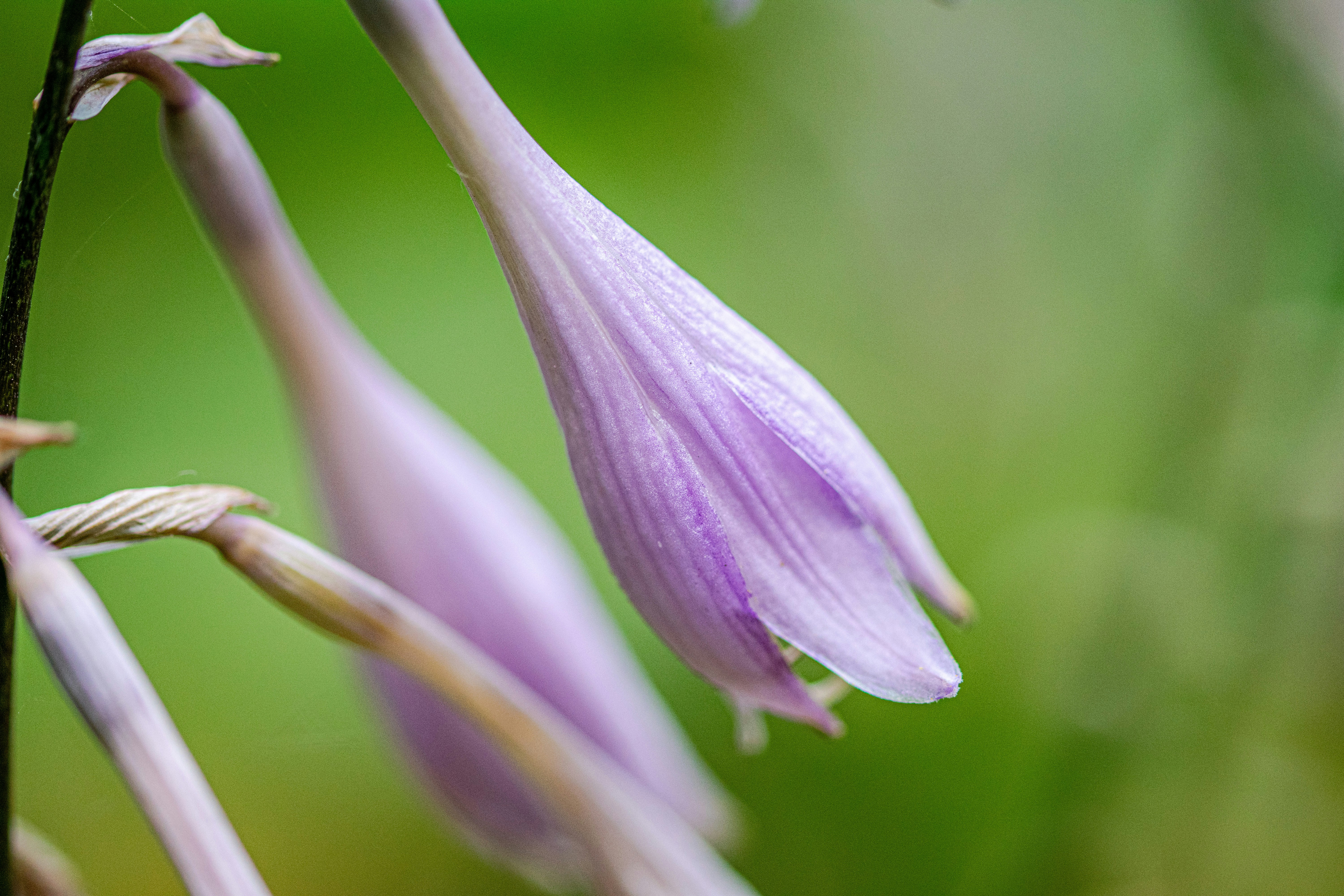 Photo by ellephant_photography