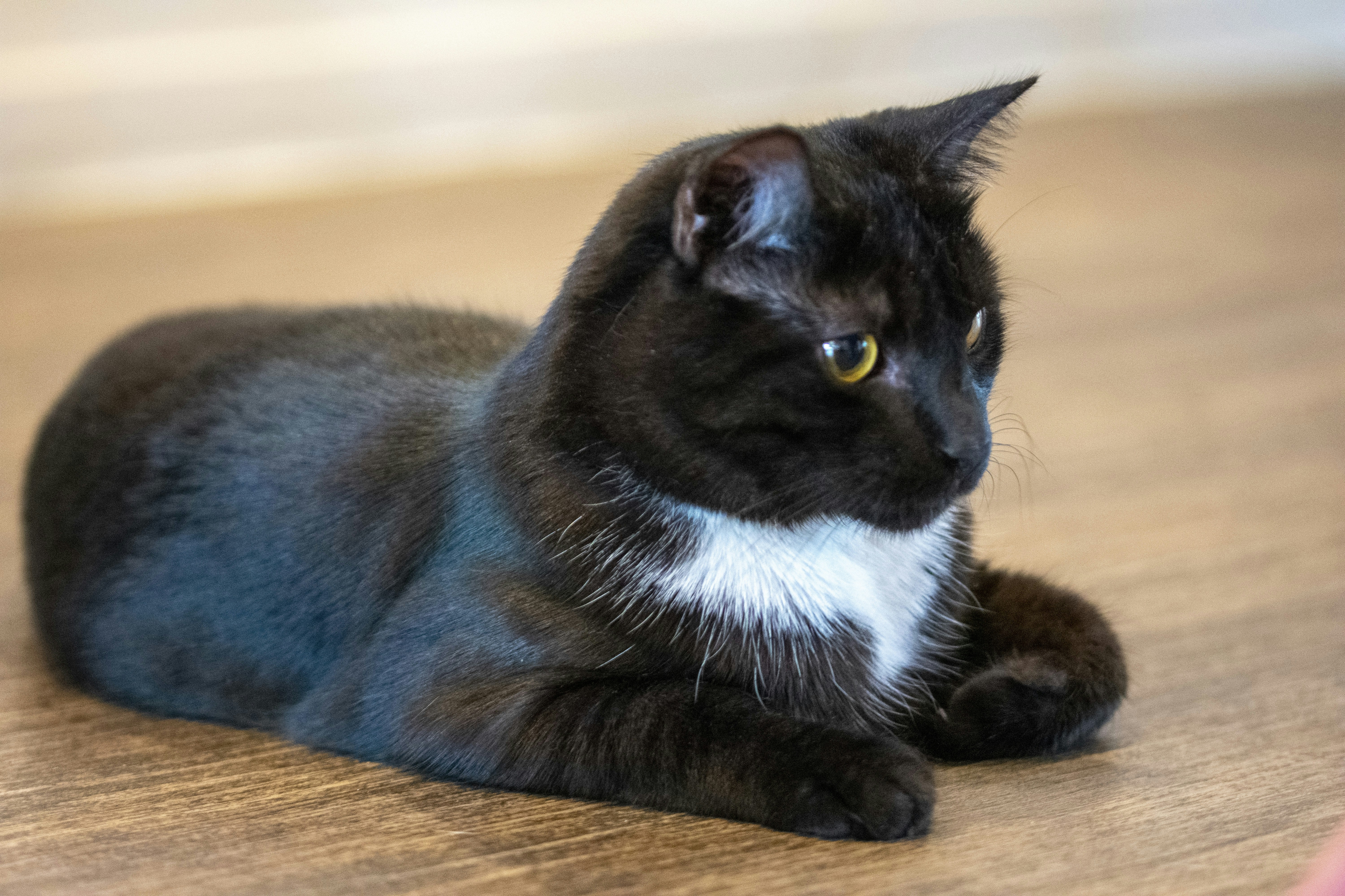 Photo by ellephant_photography