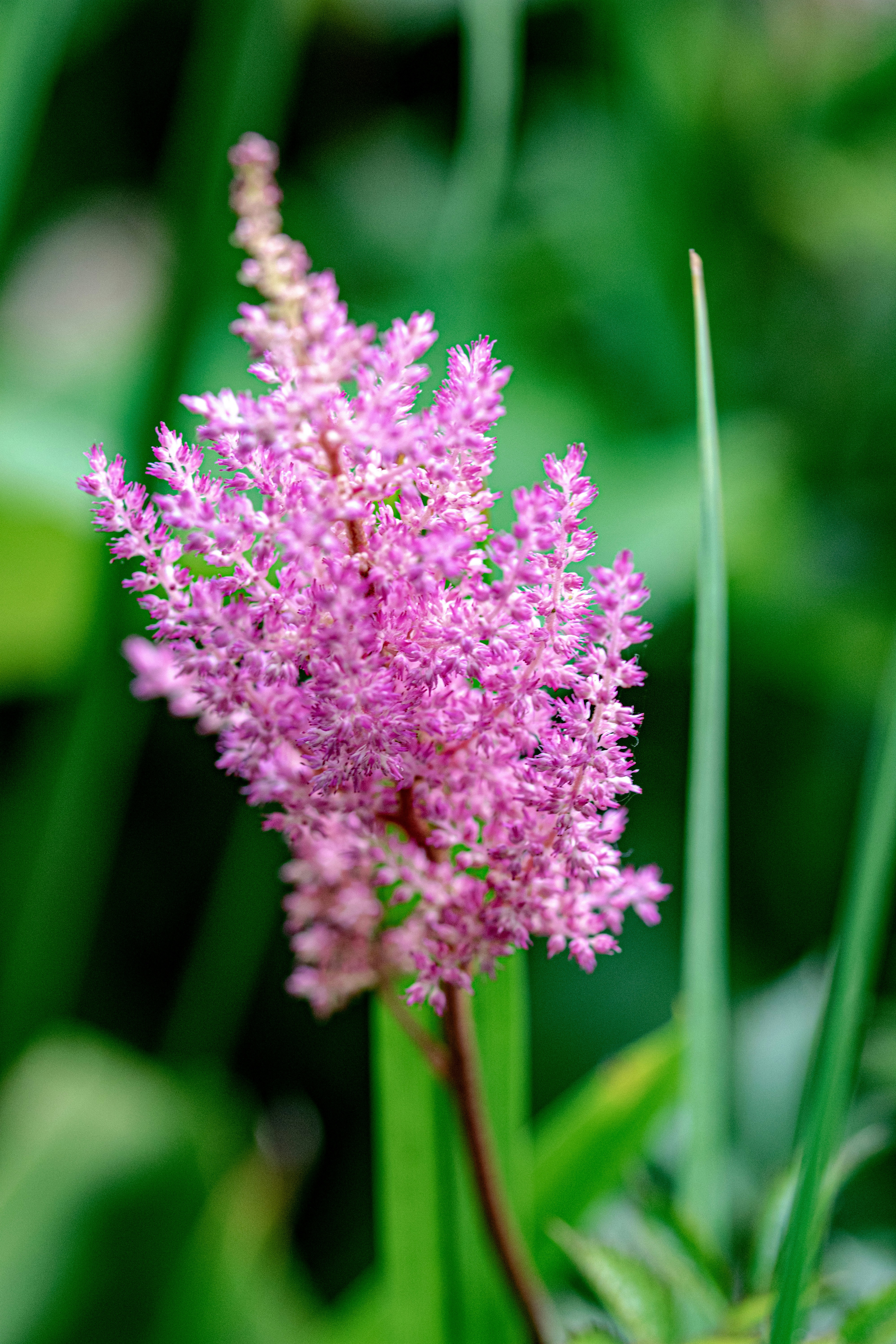 Photo by ellephant_photography