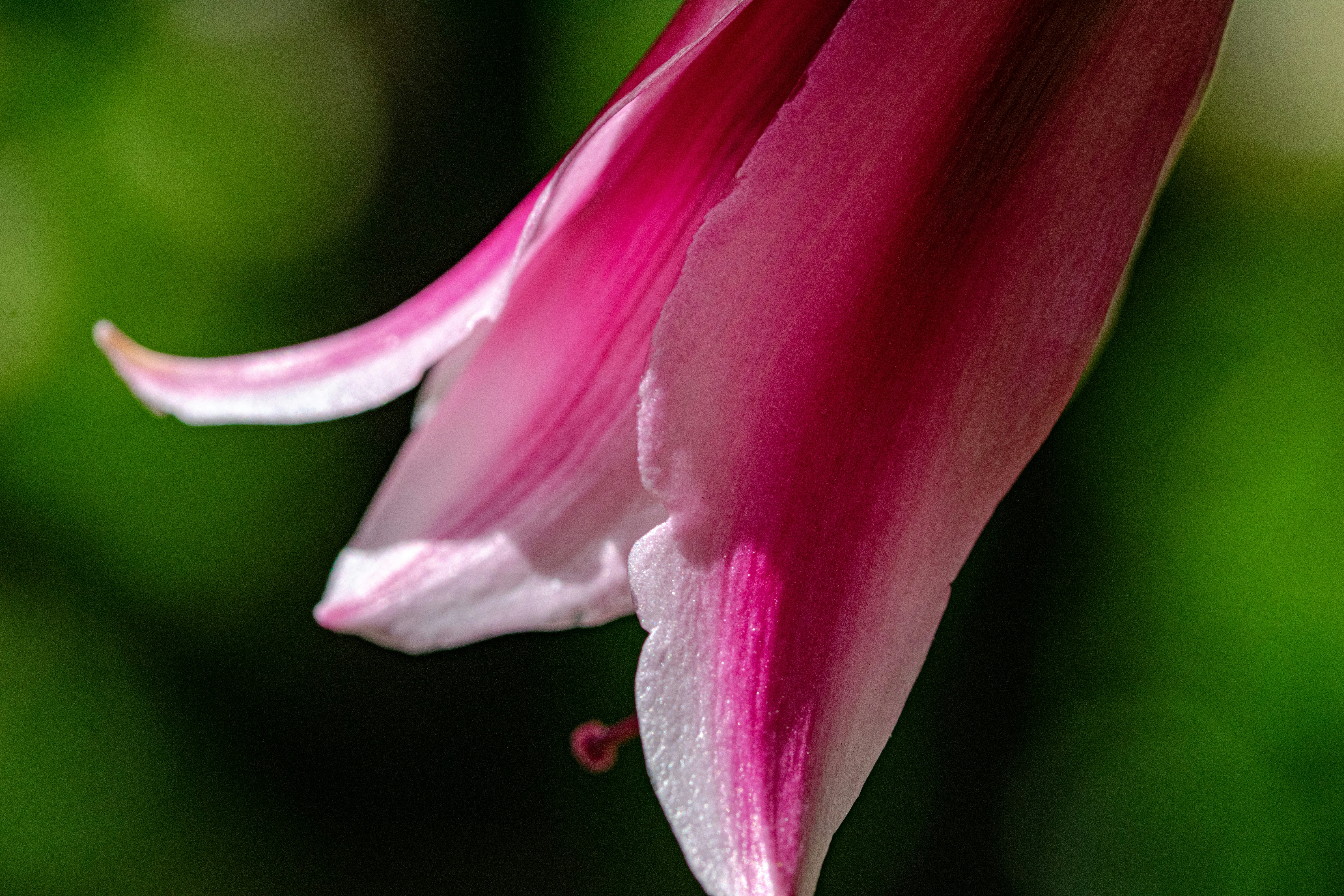 Photo by ellephant_photography