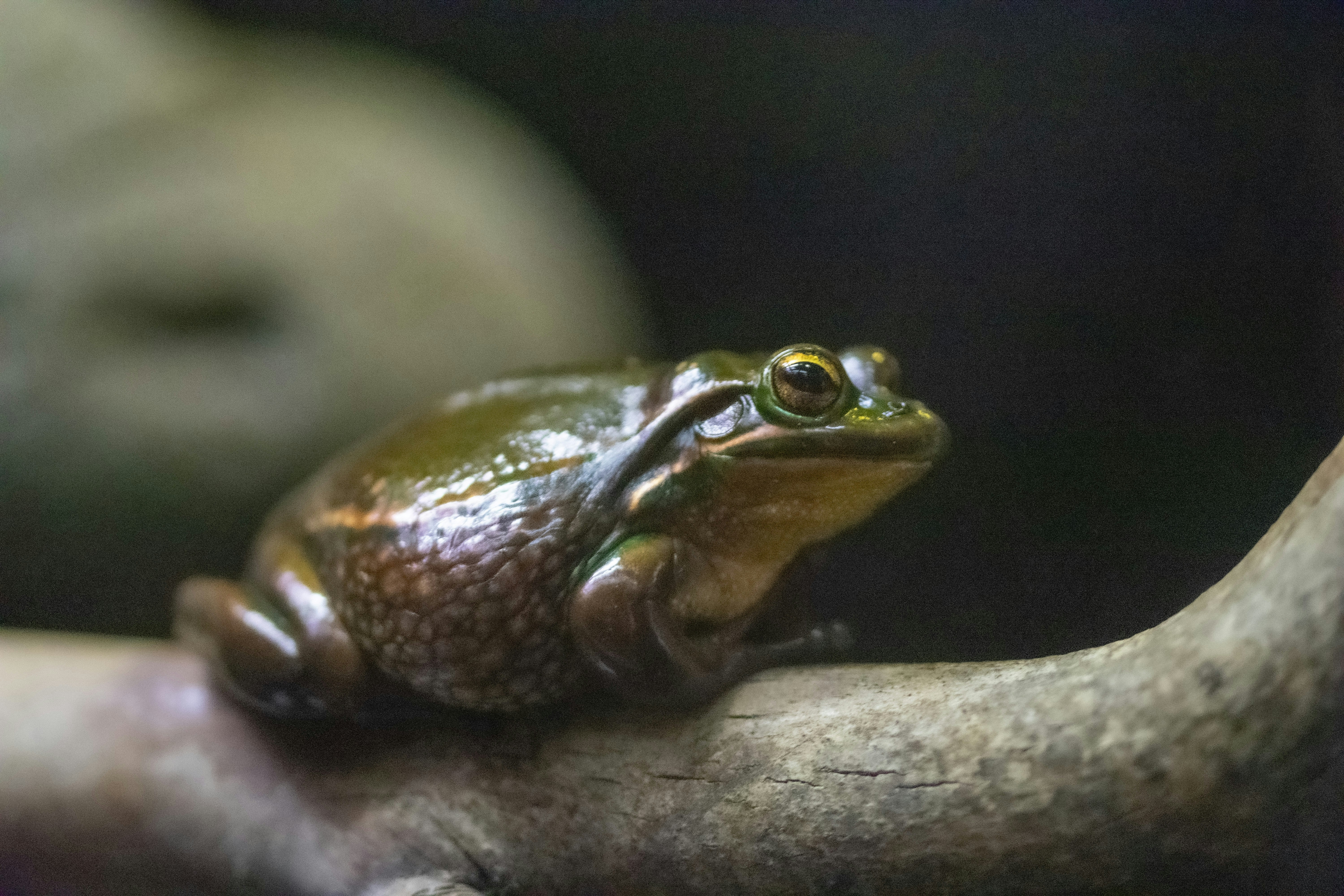 Photo by ellephant_photography