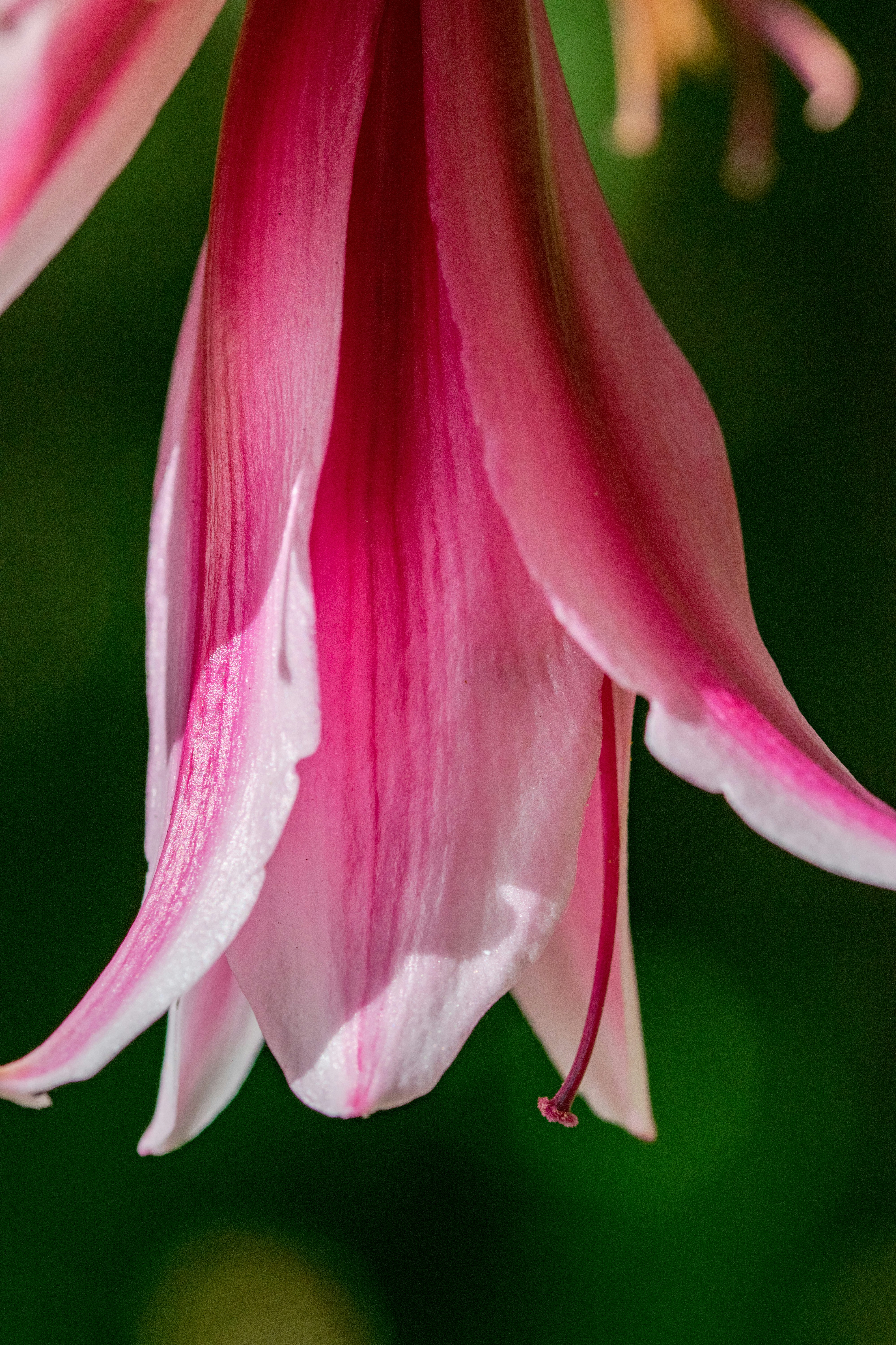 Photo by ellephant_photography