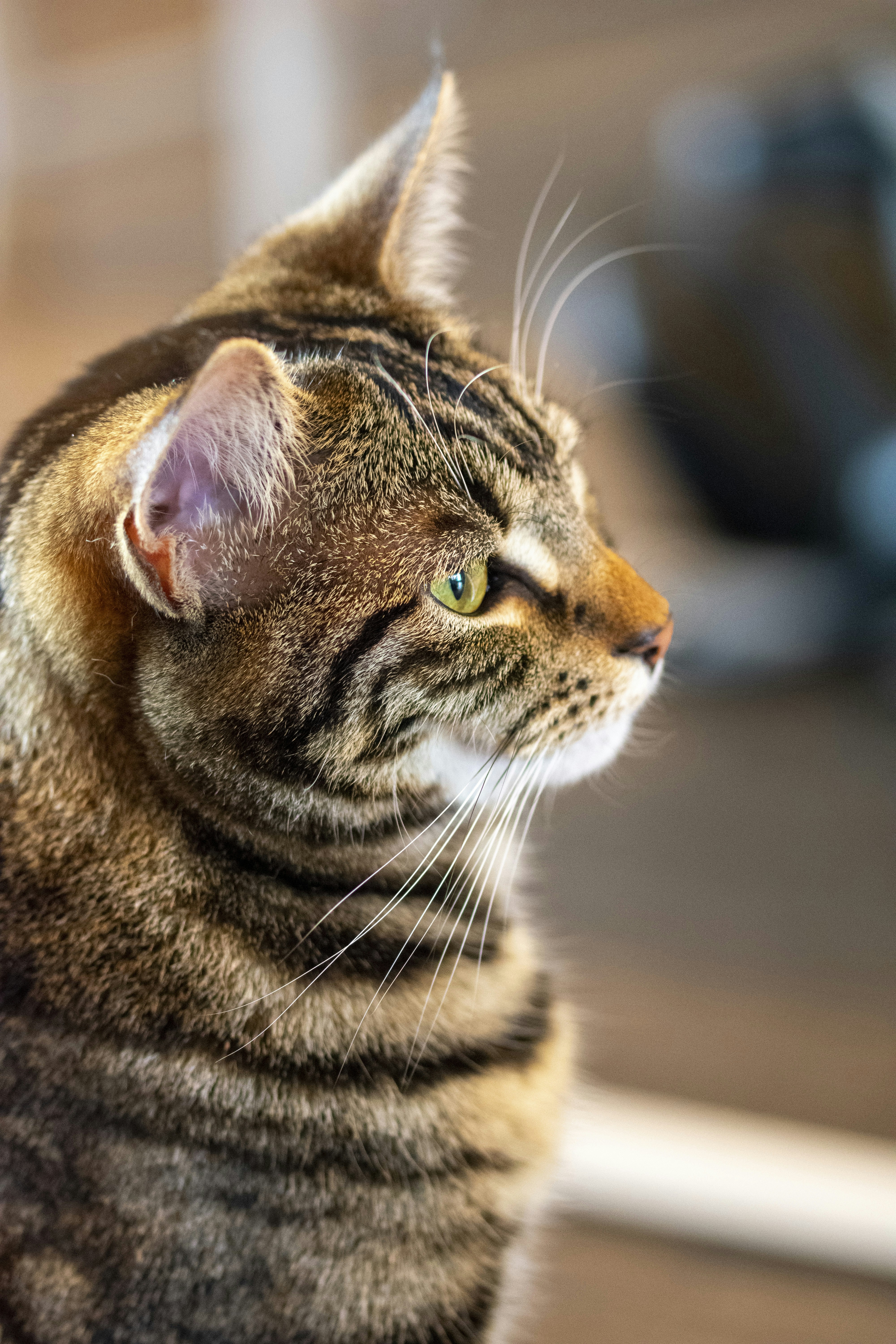 Photo by ellephant_photography