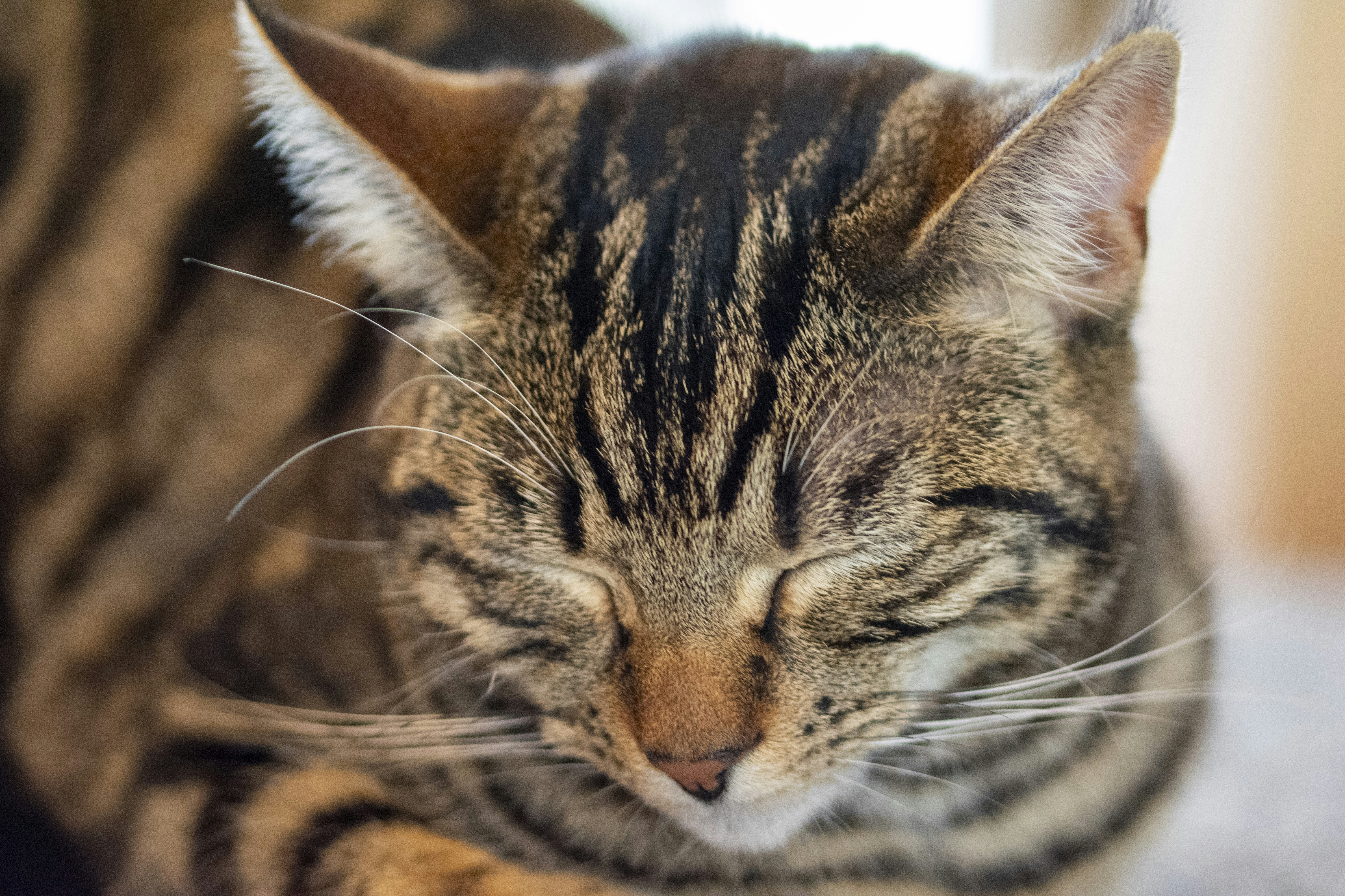 Photo by ellephant_photography