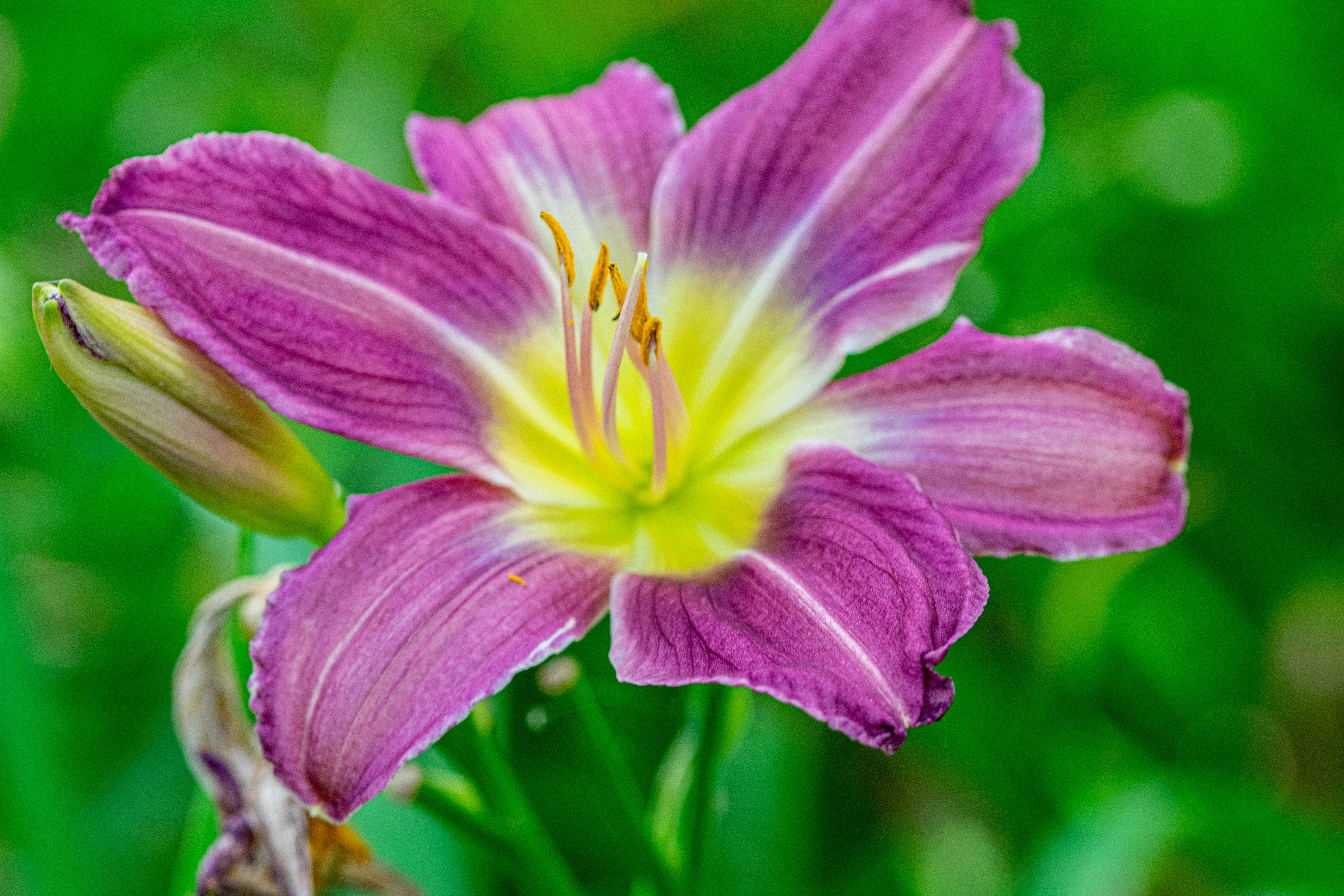 Photo by ellephant_photography