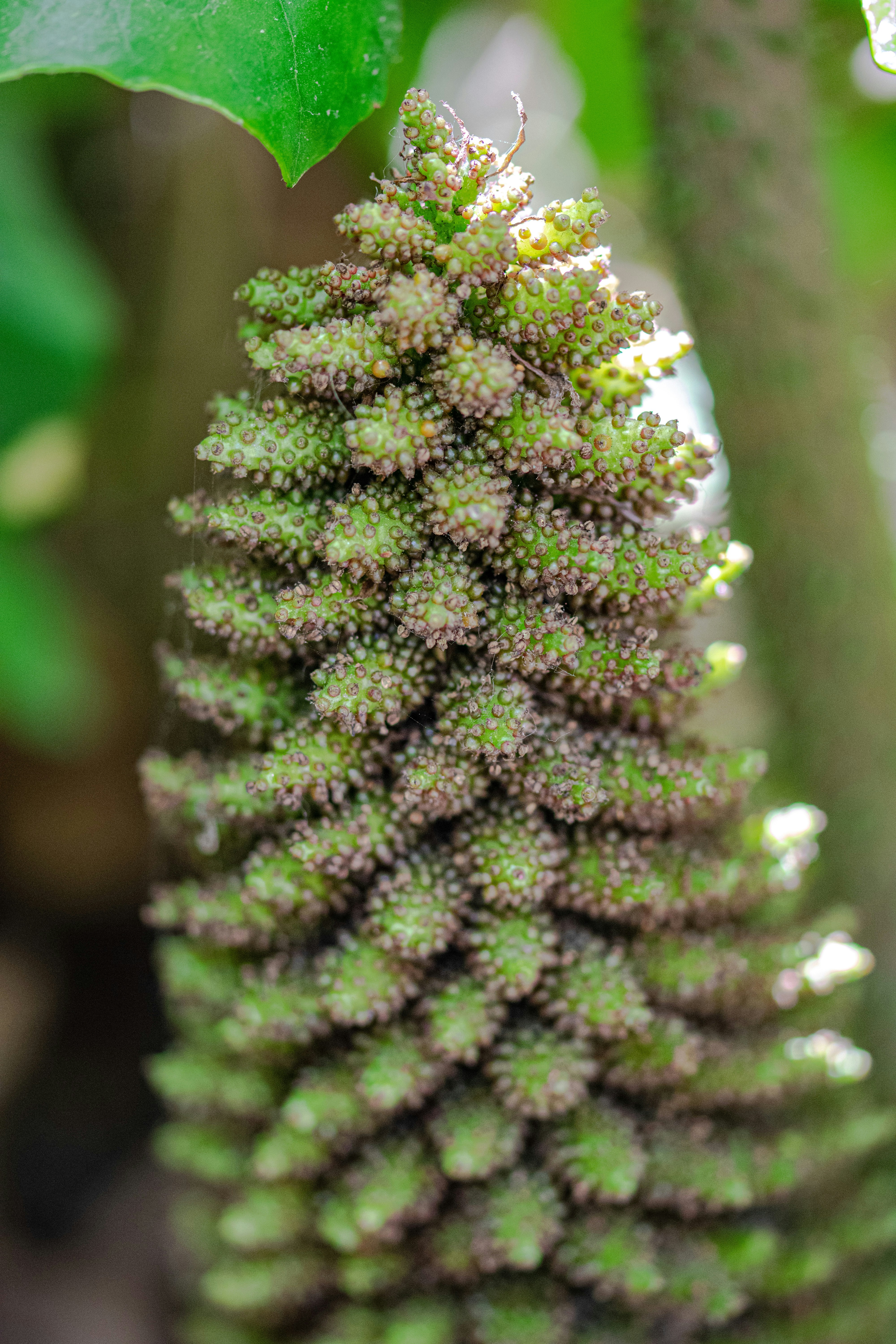 Photo by ellephant_photography