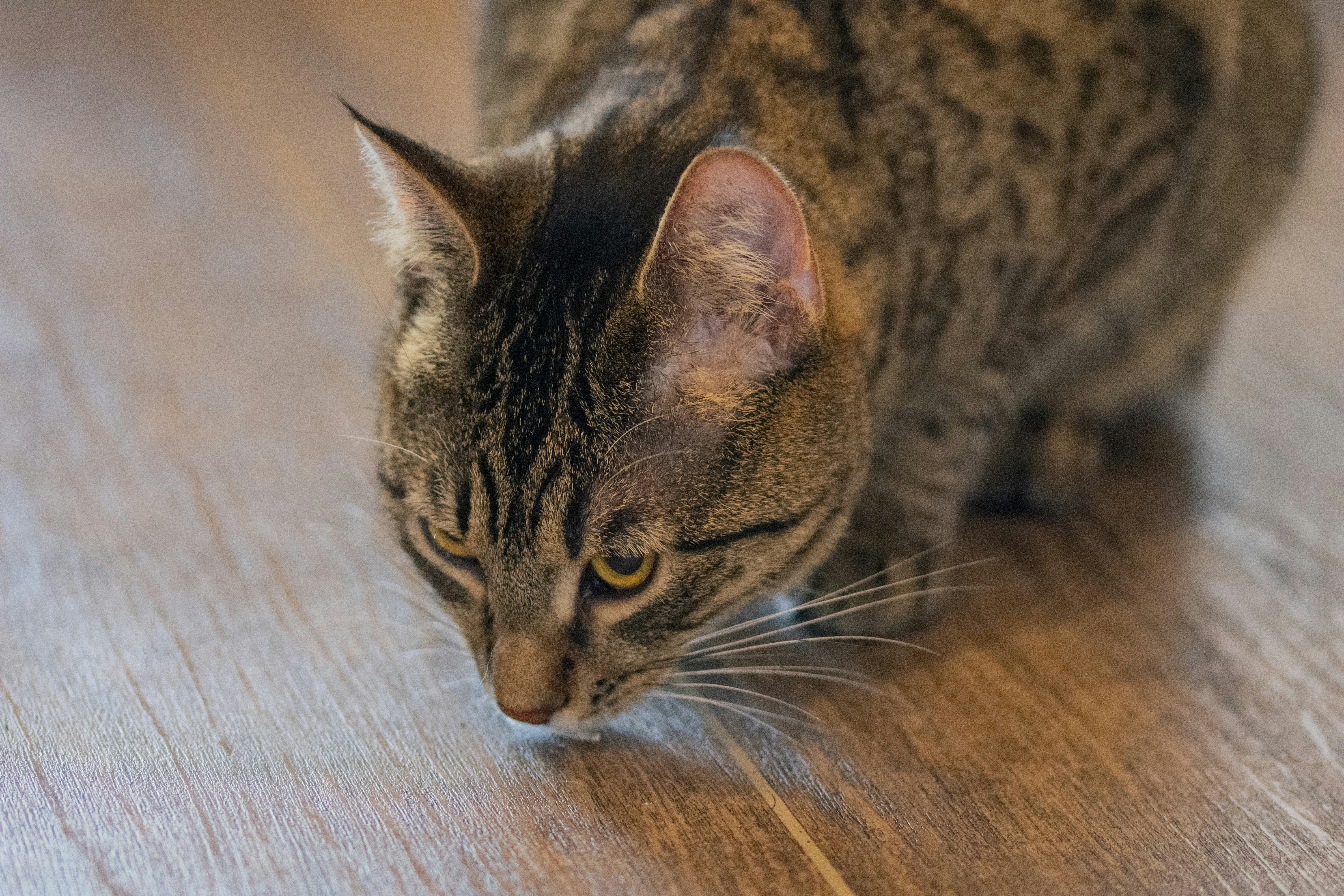 Photo by ellephant_photography