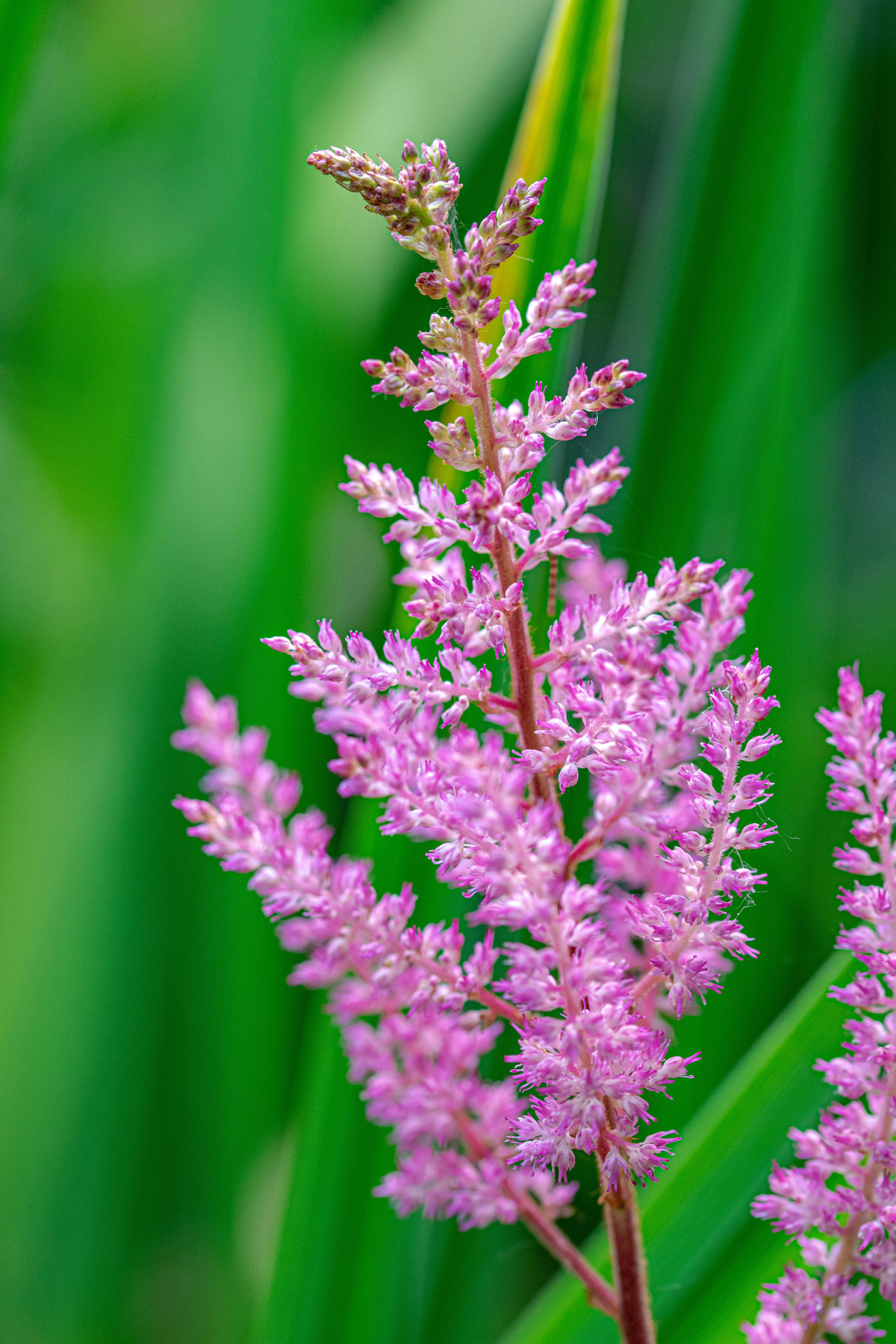 Photo by ellephant_photography