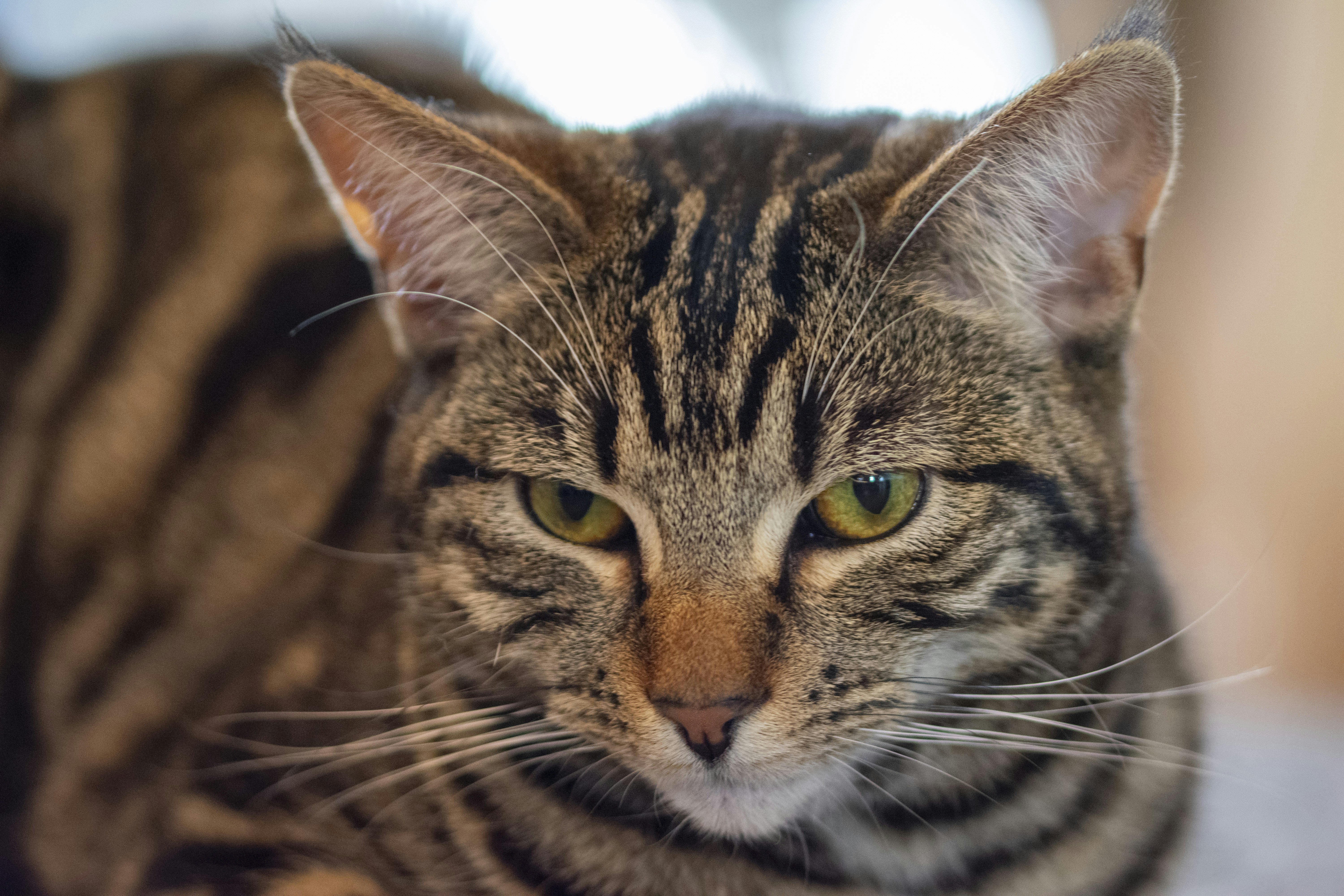 Photo by ellephant_photography