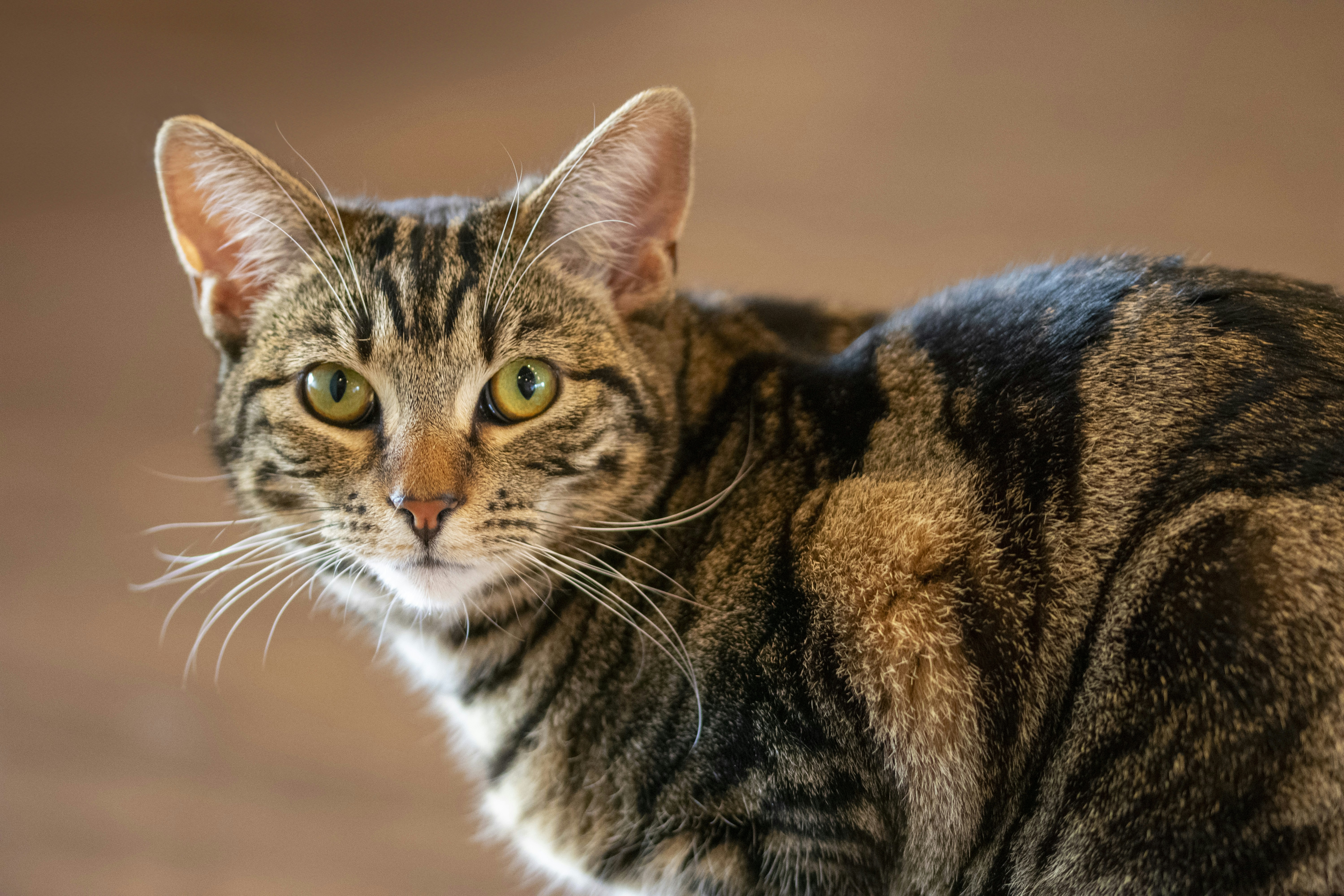 Photo by ellephant_photography