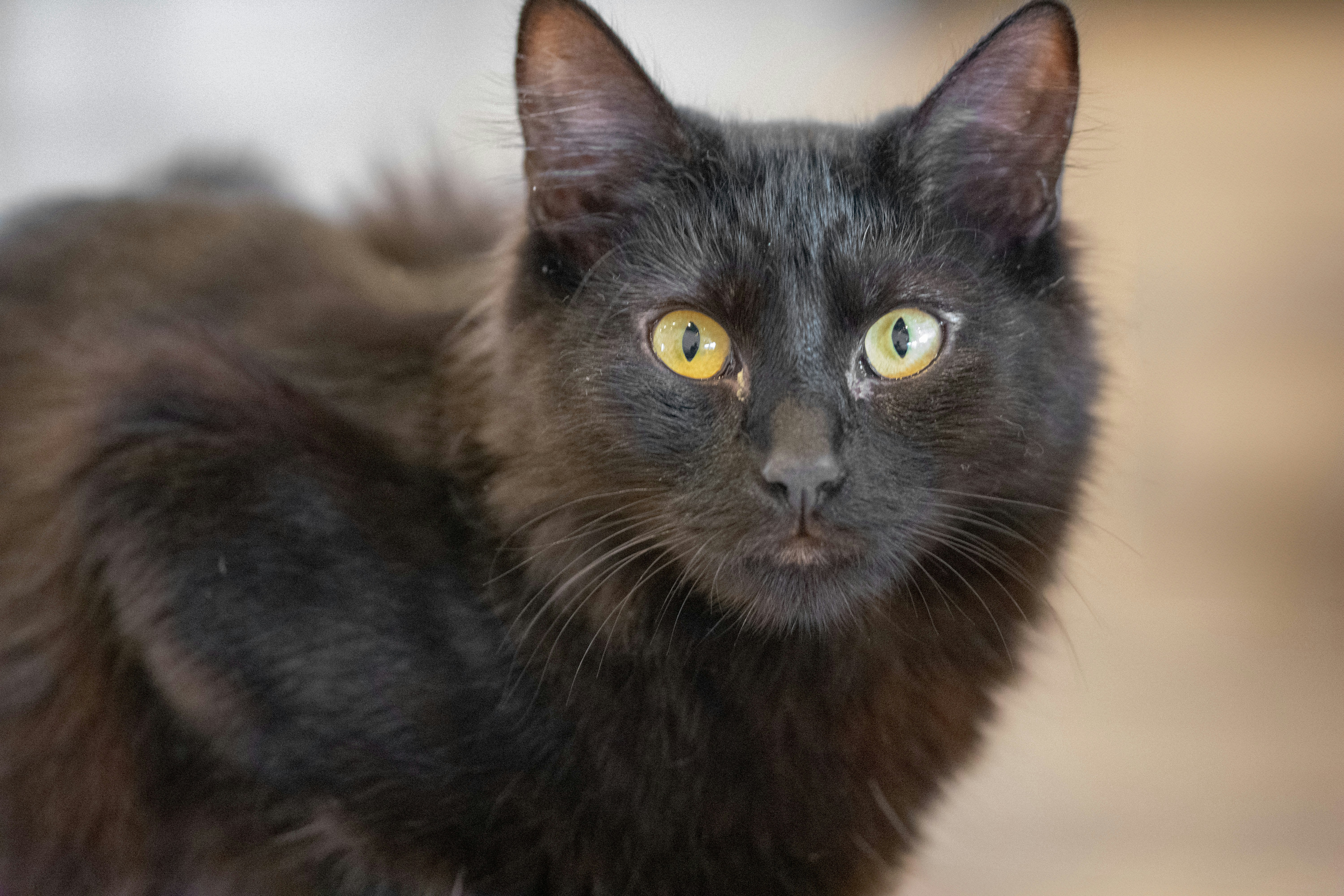 Photo by ellephant_photography