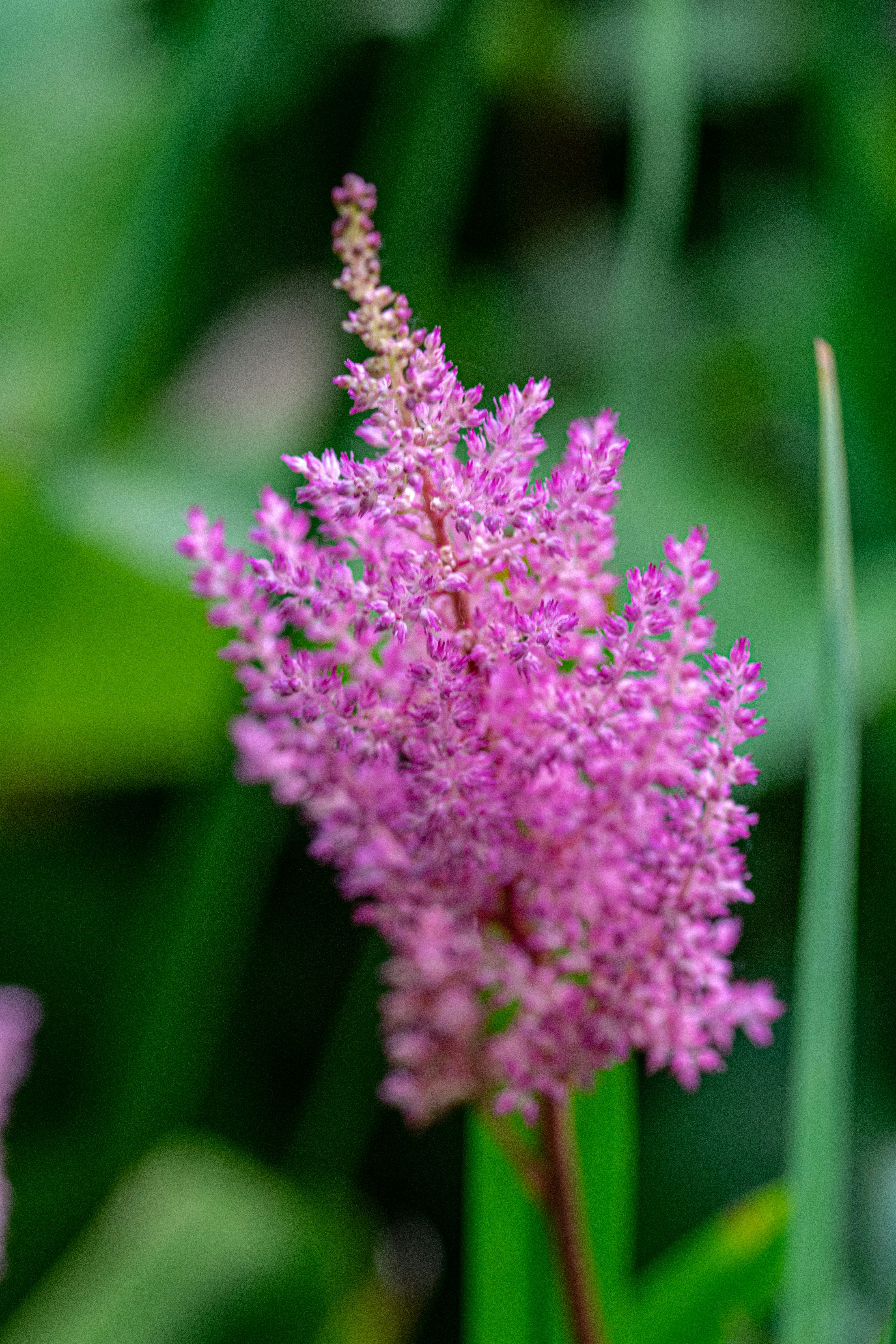 Photo by ellephant_photography