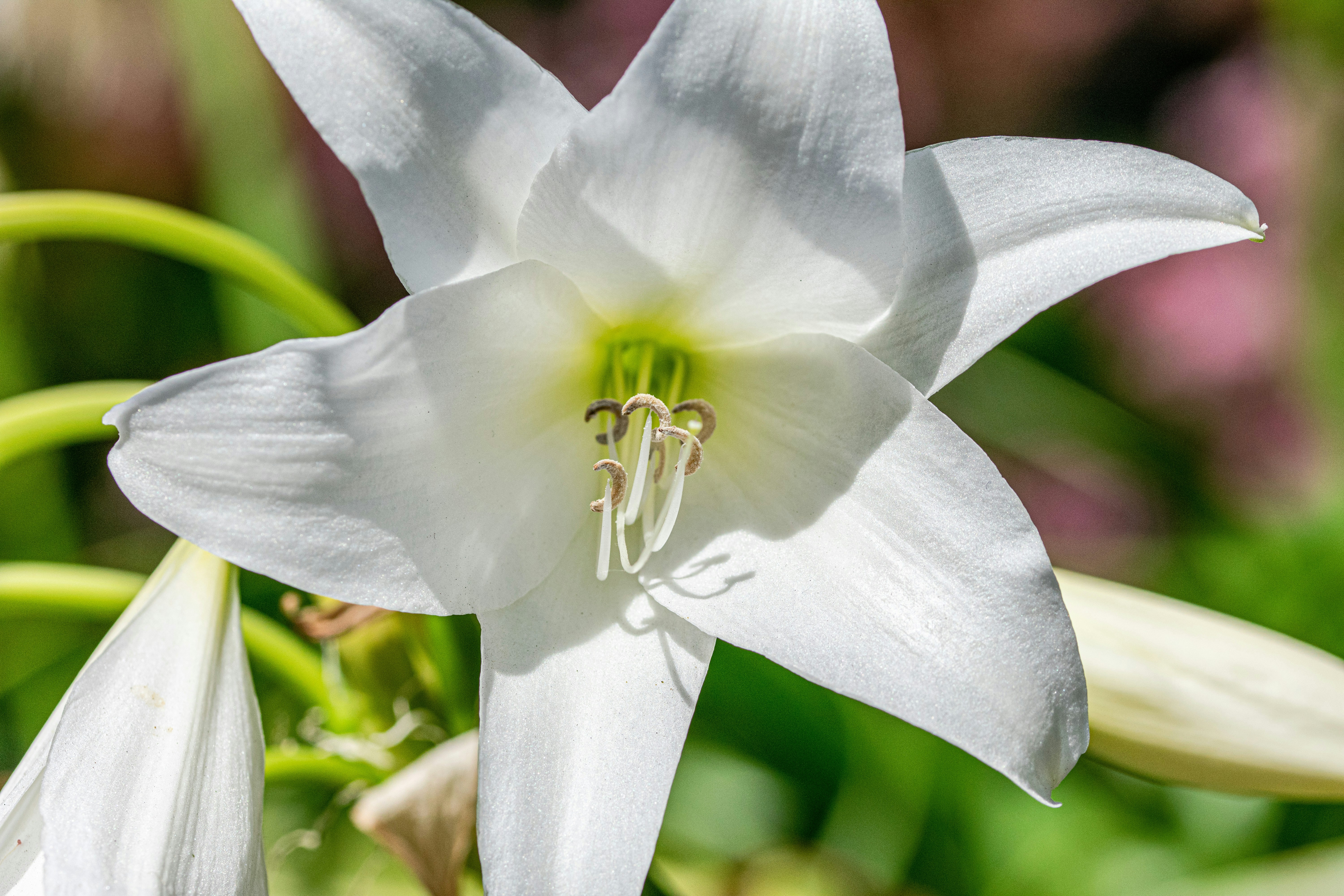 Photo by ellephant_photography