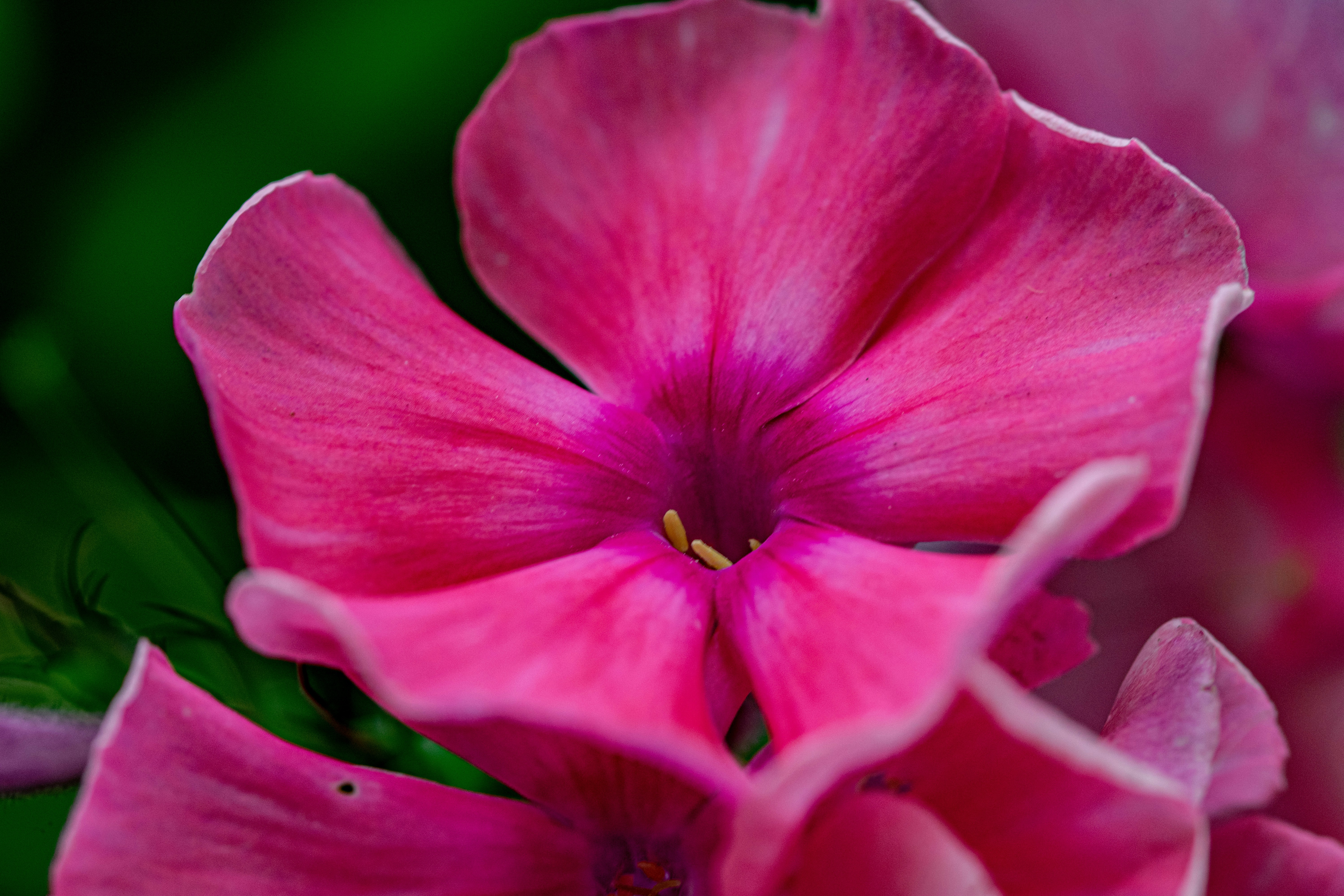 Photo by ellephant_photography