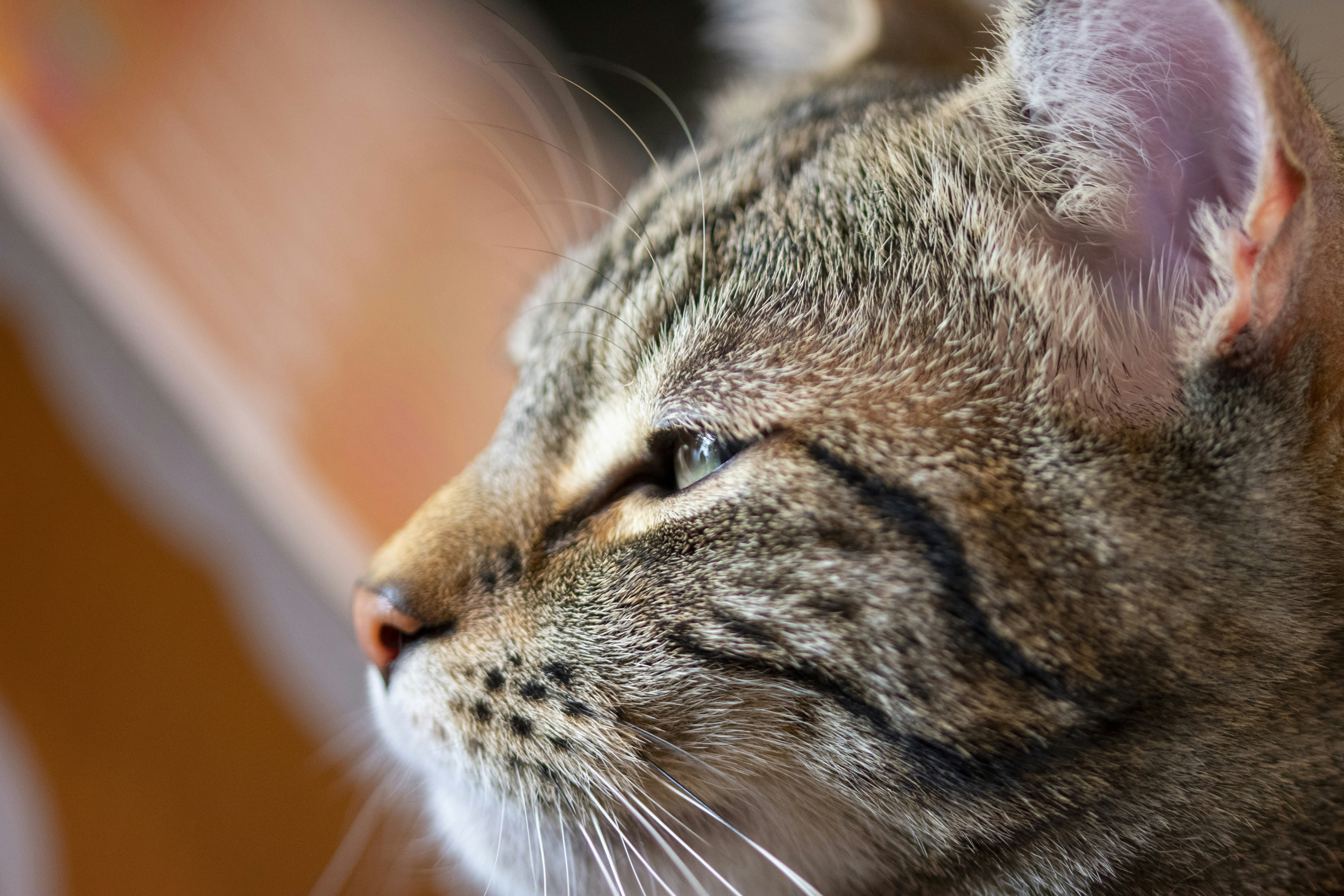 Photo by ellephant_photography