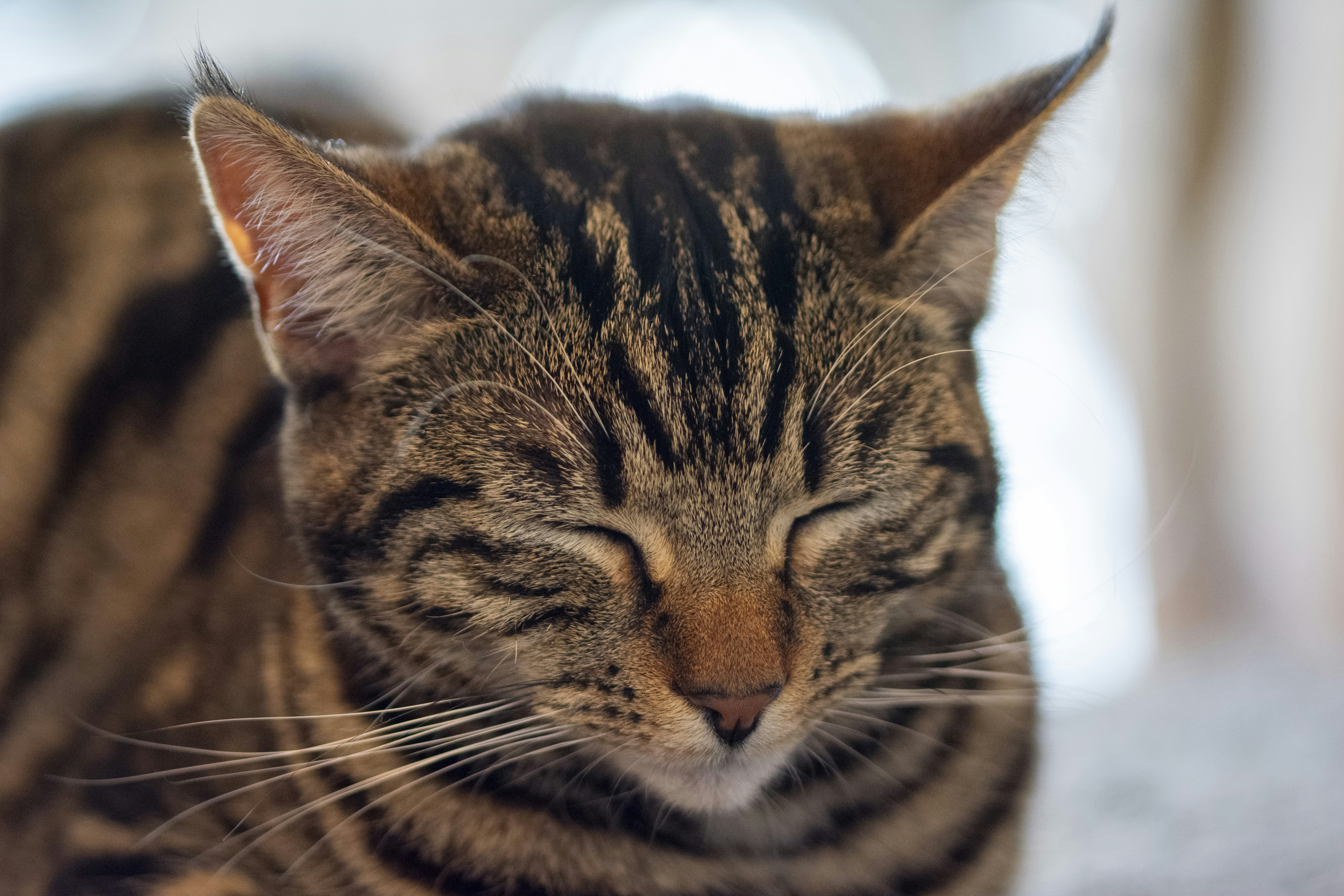 Photo by ellephant_photography