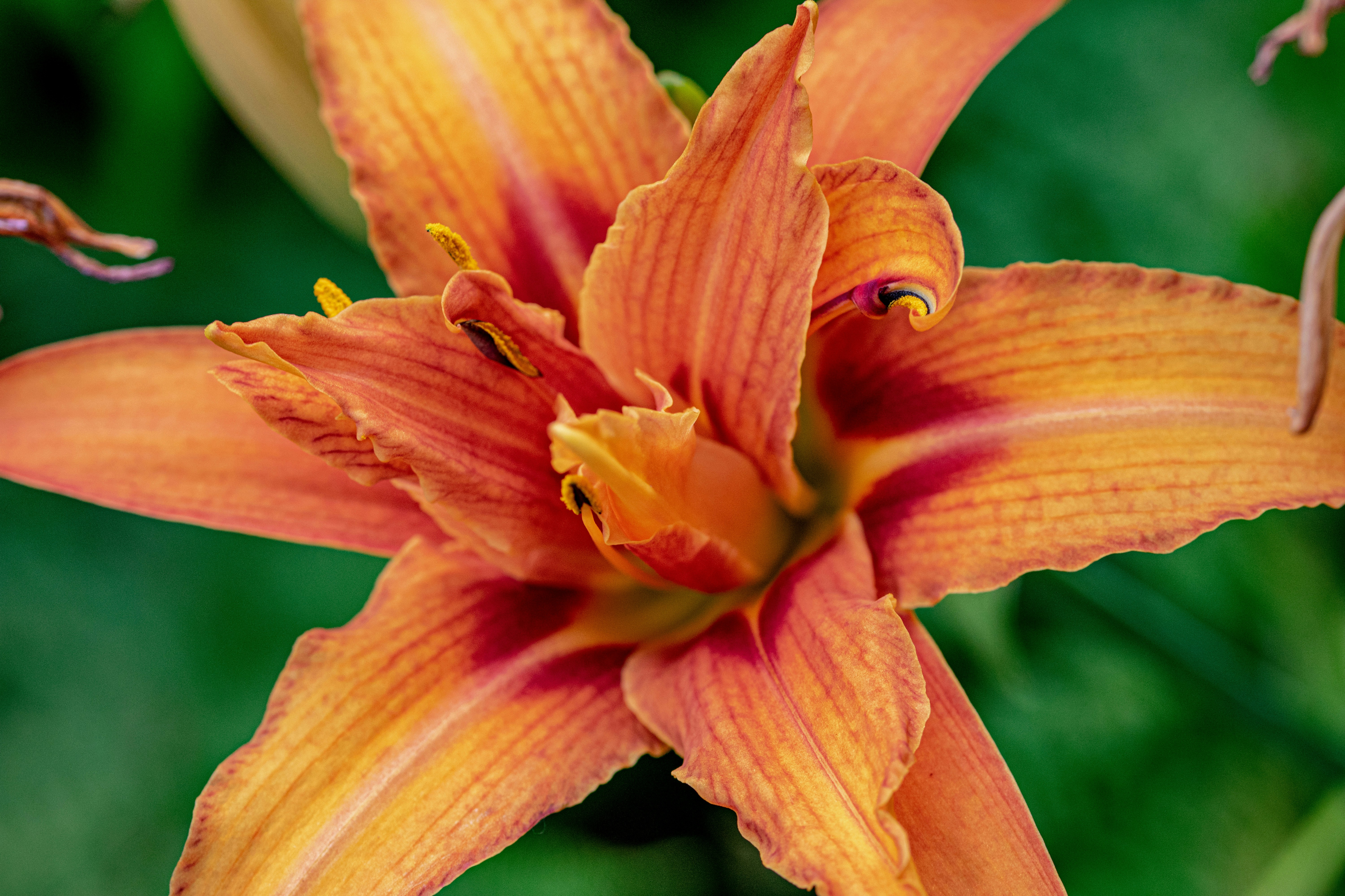 Photo by ellephant_photography