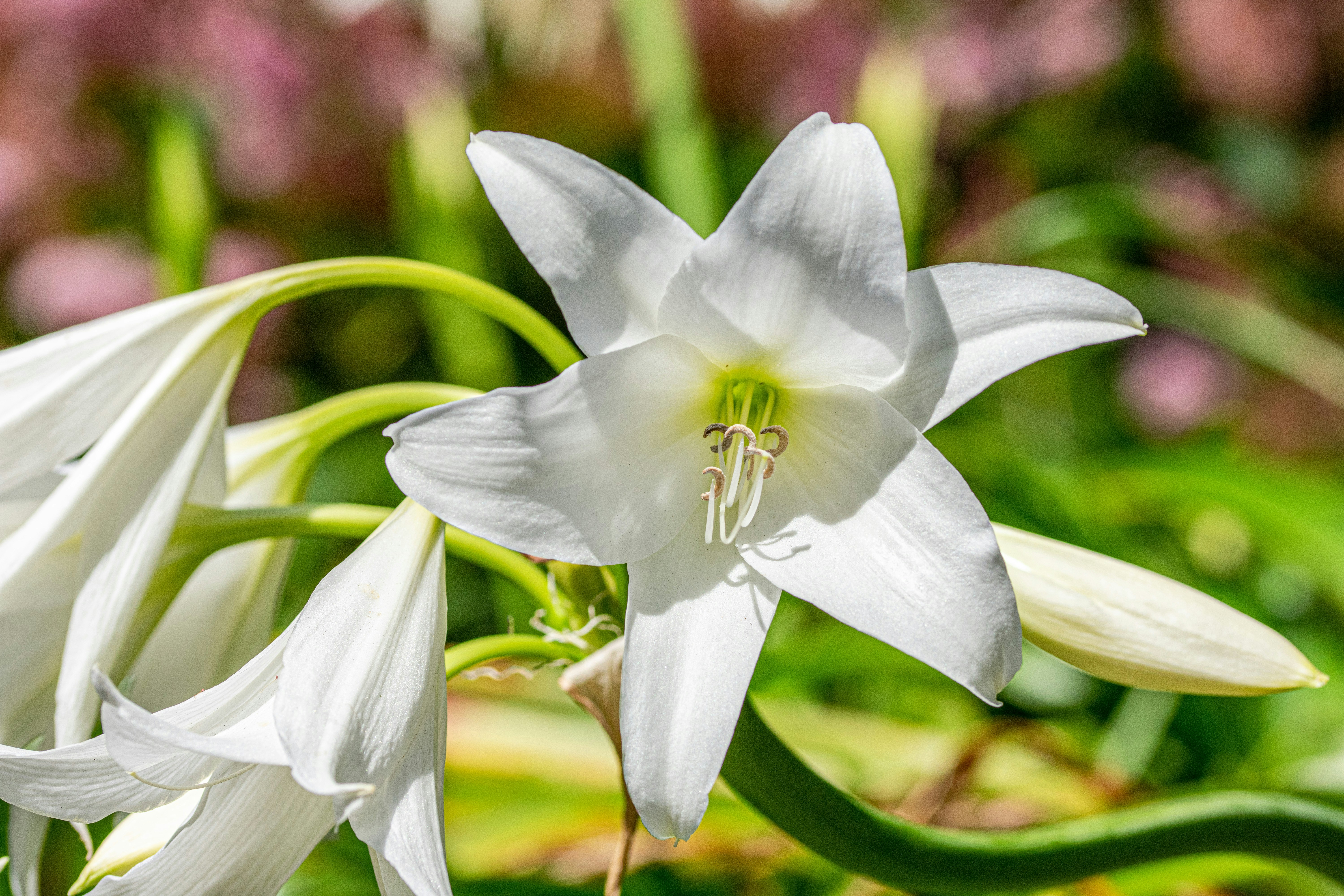 Photo by ellephant_photography