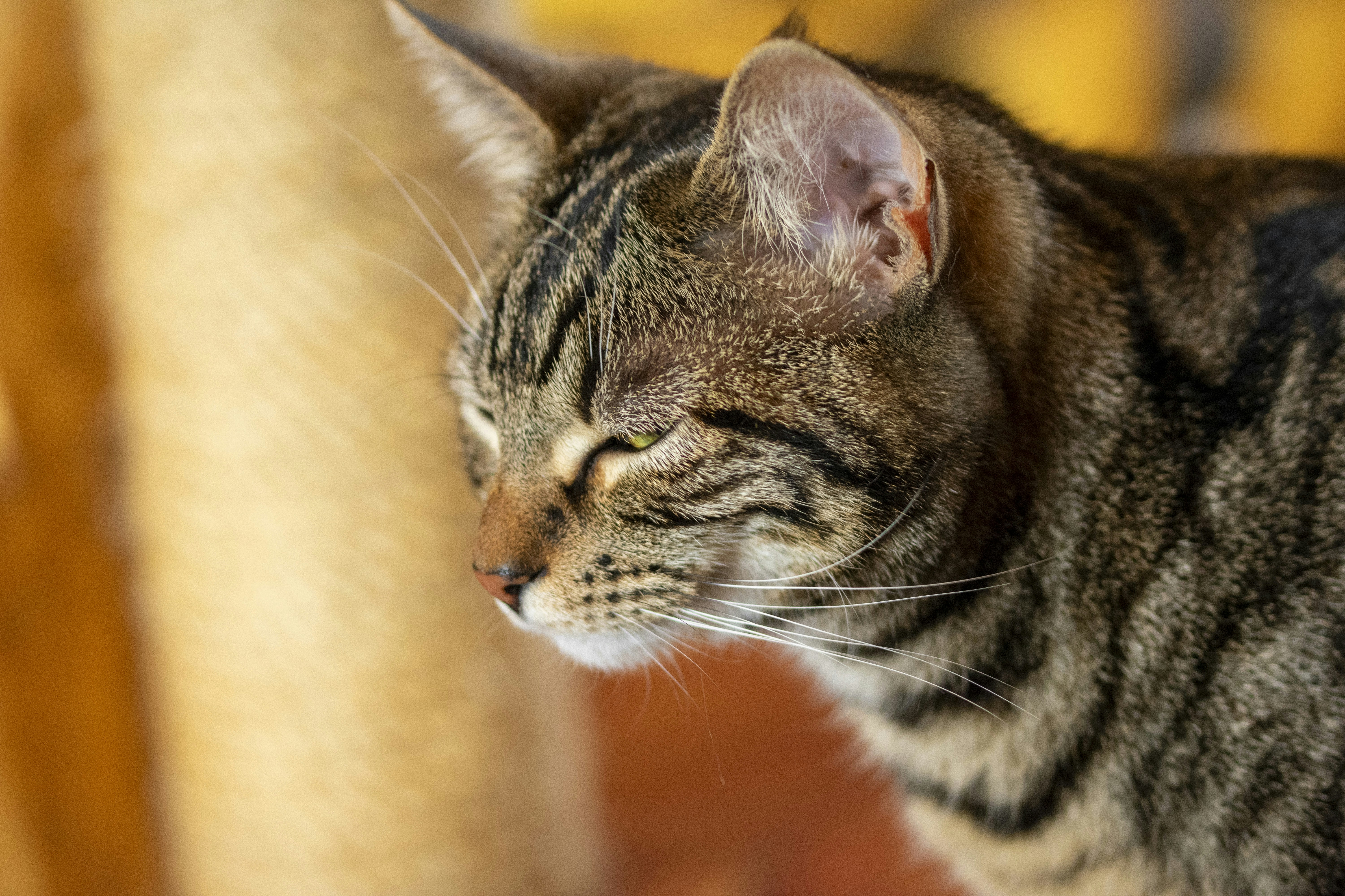 Photo by ellephant_photography