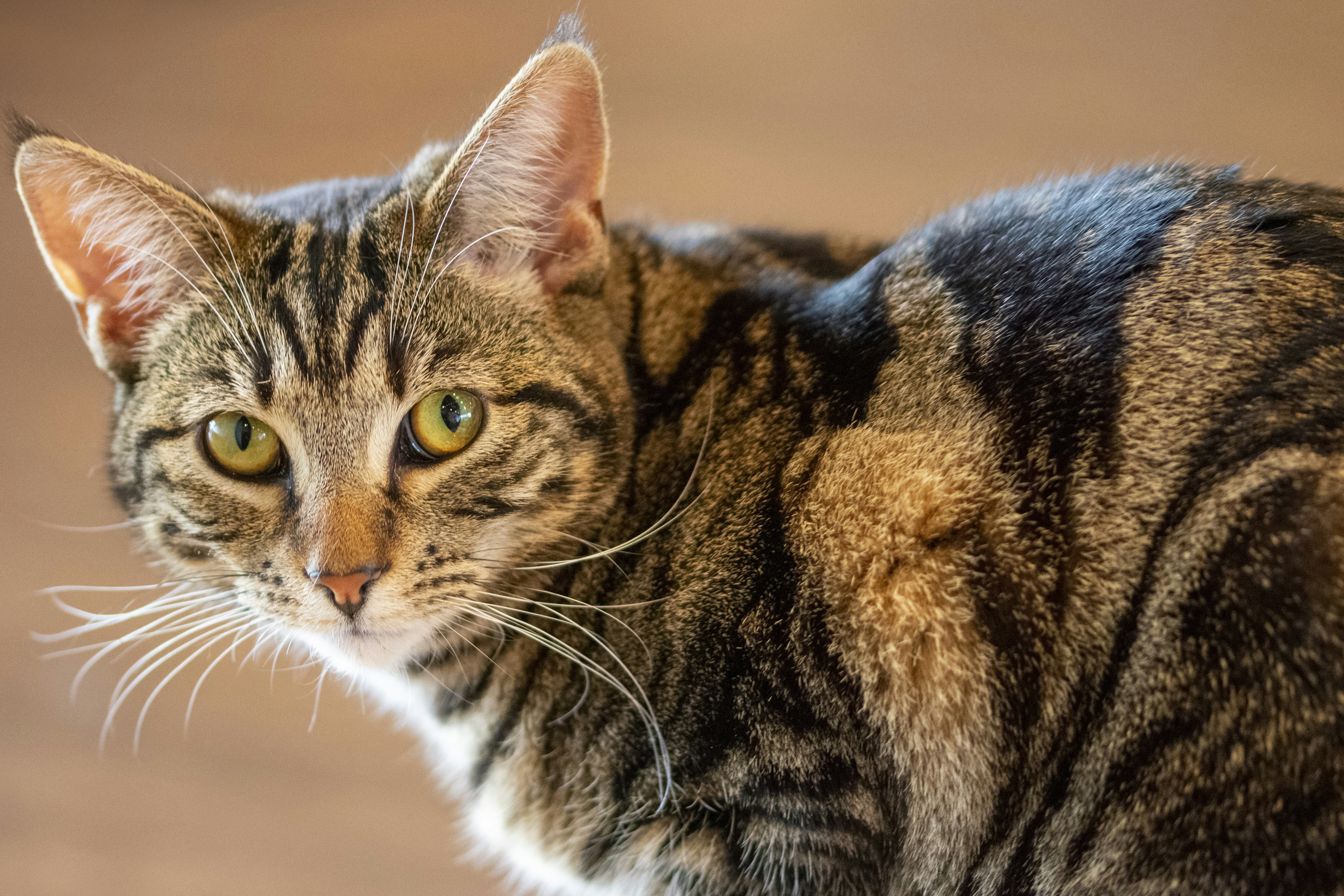 Photo by ellephant_photography