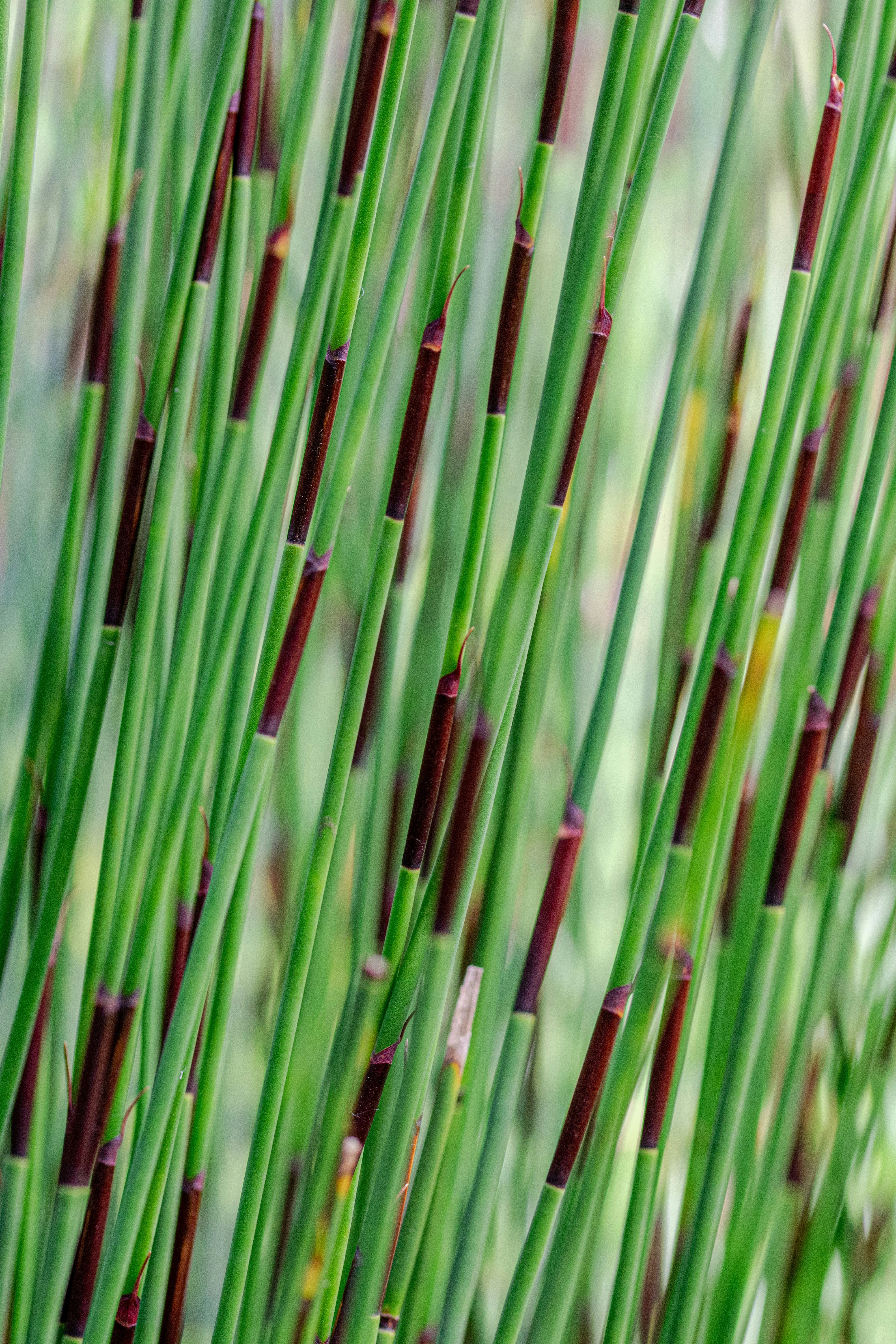 Photo by ellephant_photography