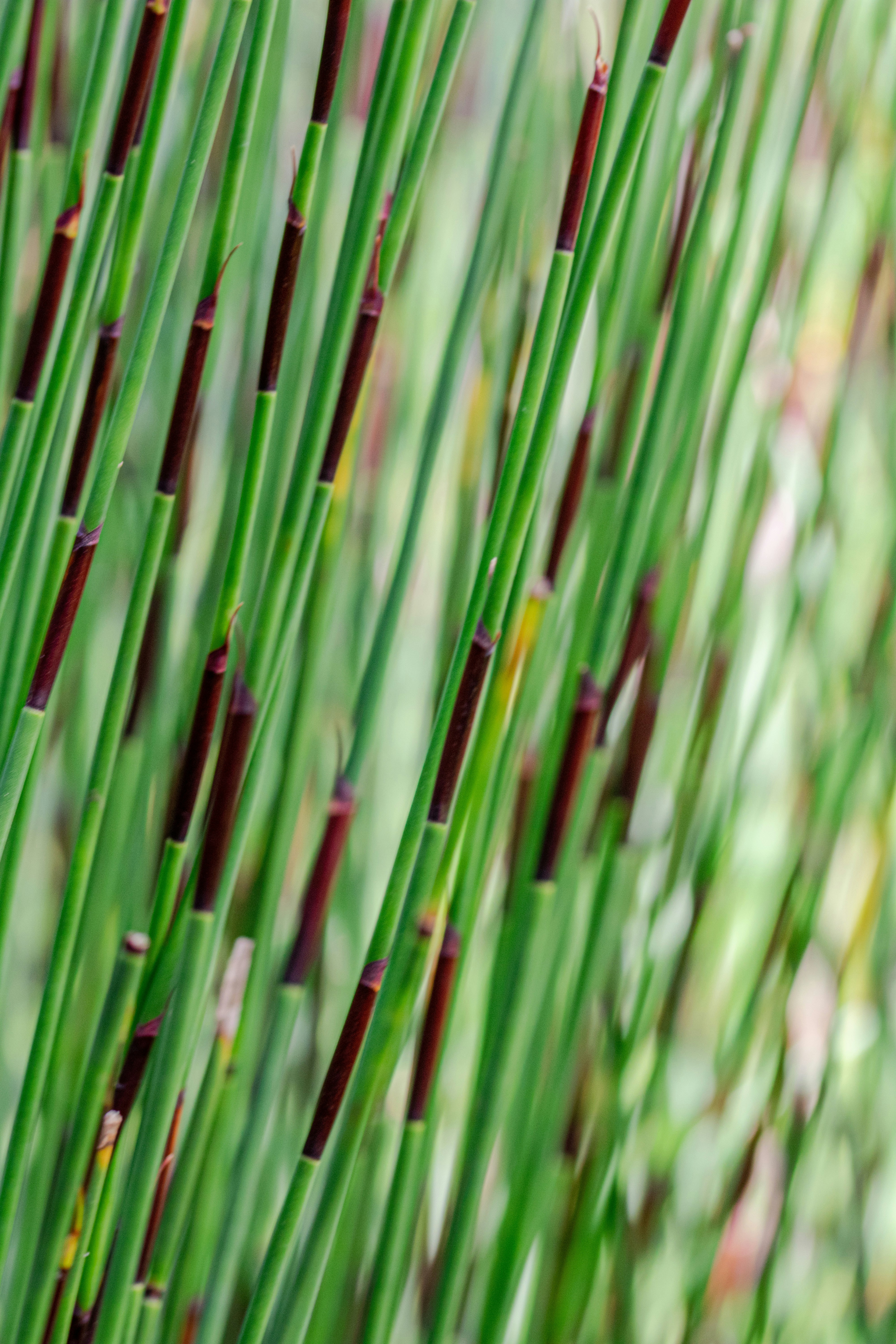 Photo by ellephant_photography