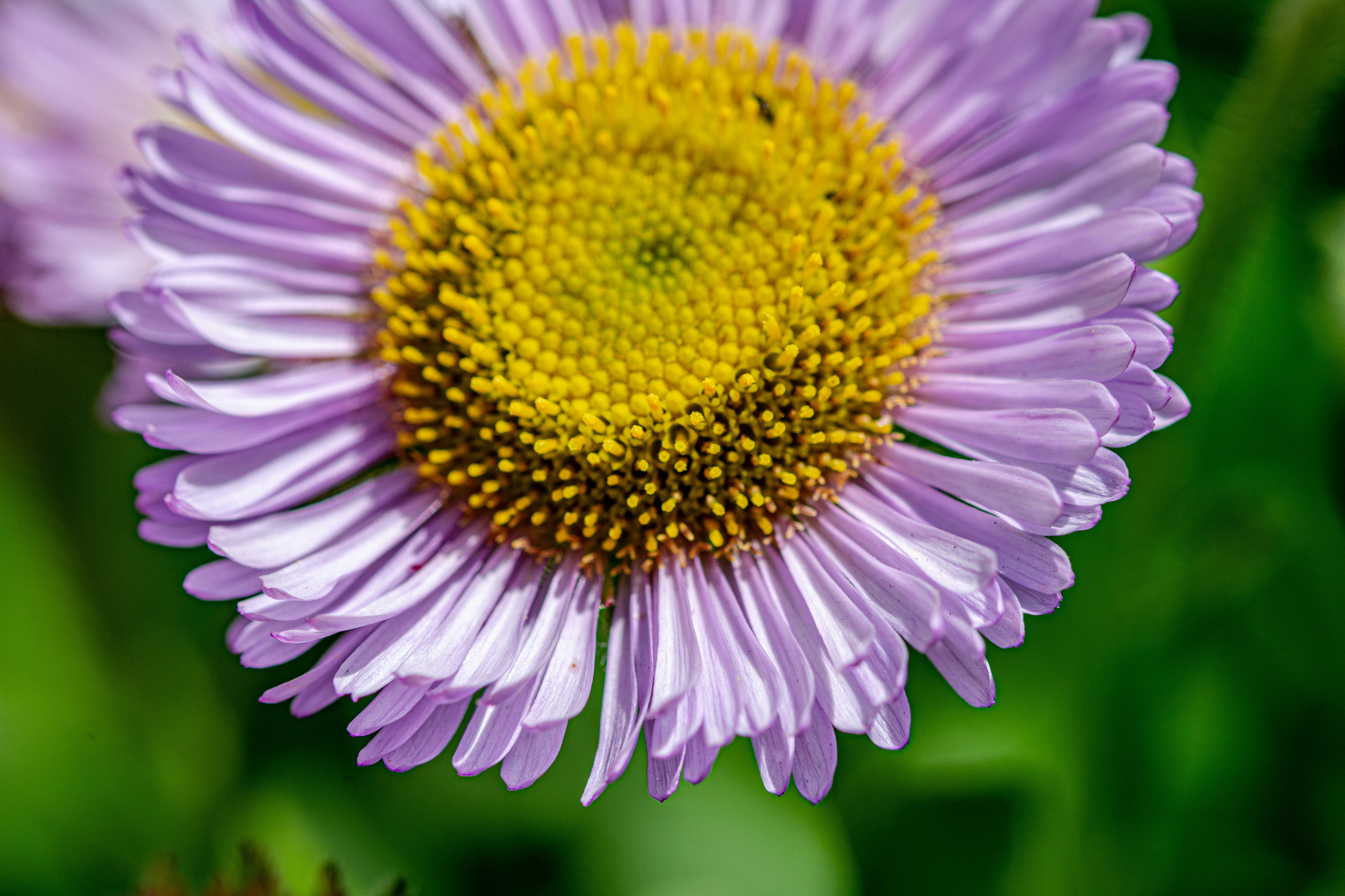 Photo by ellephant_photography