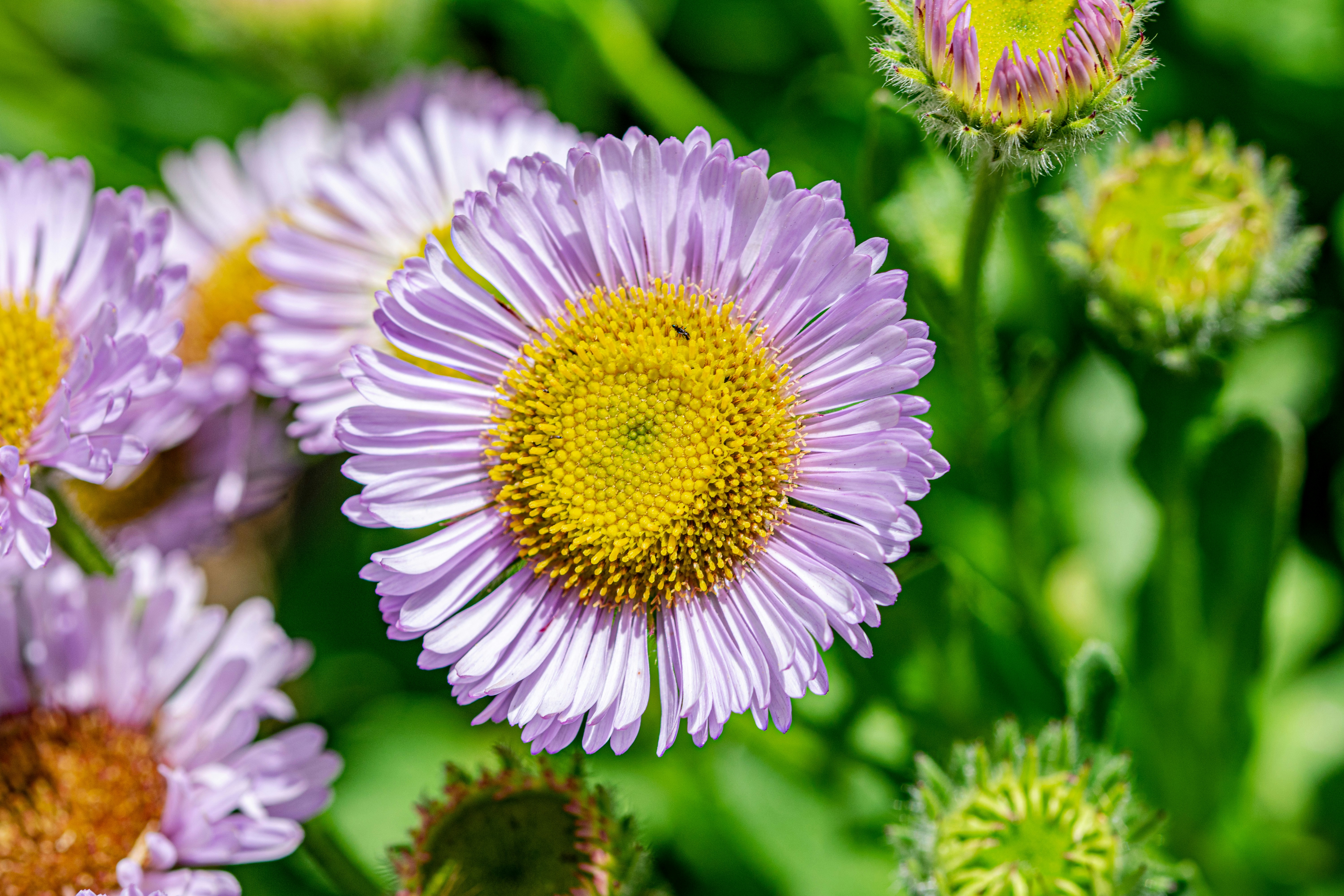 Photo by ellephant_photography