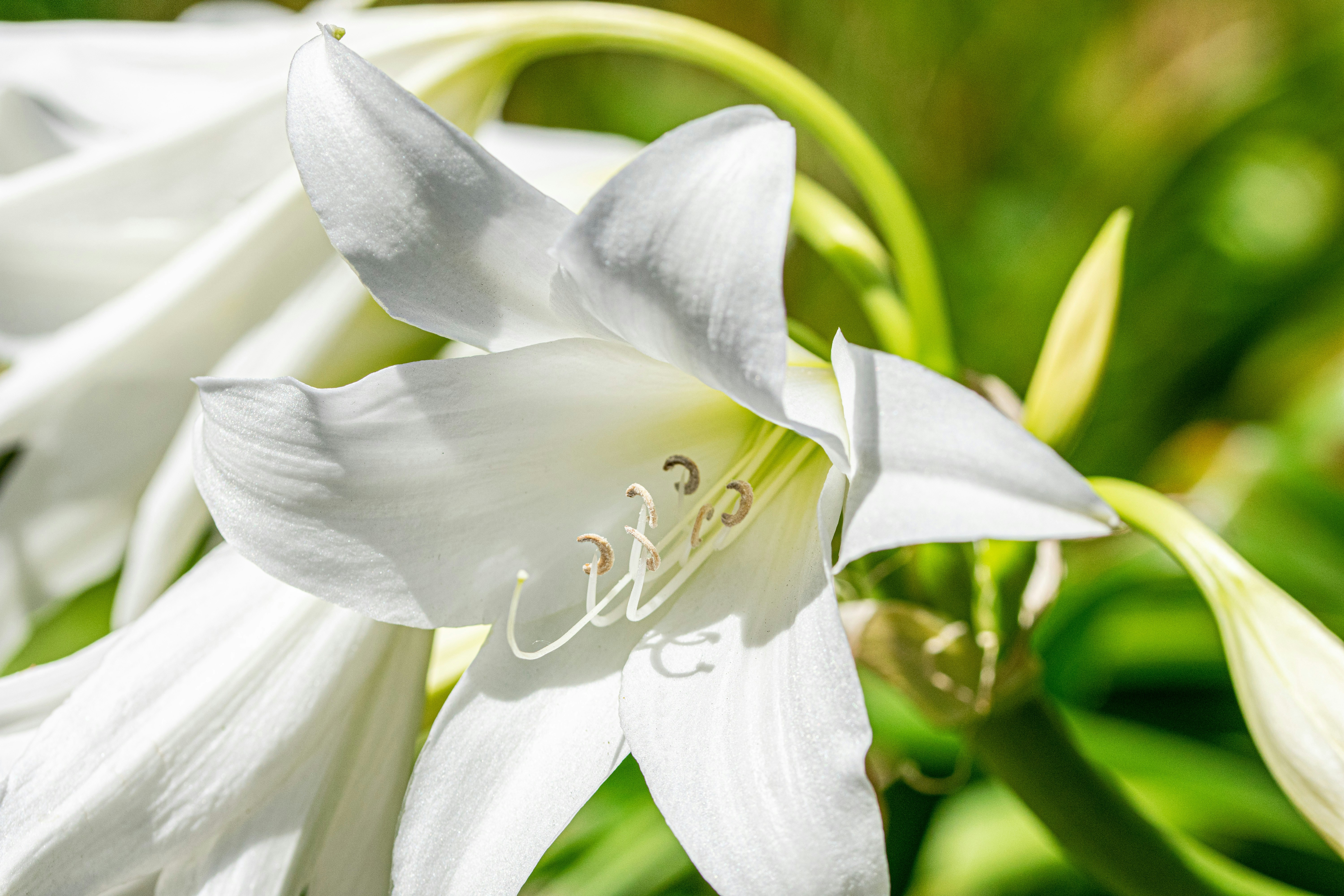 Photo by ellephant_photography