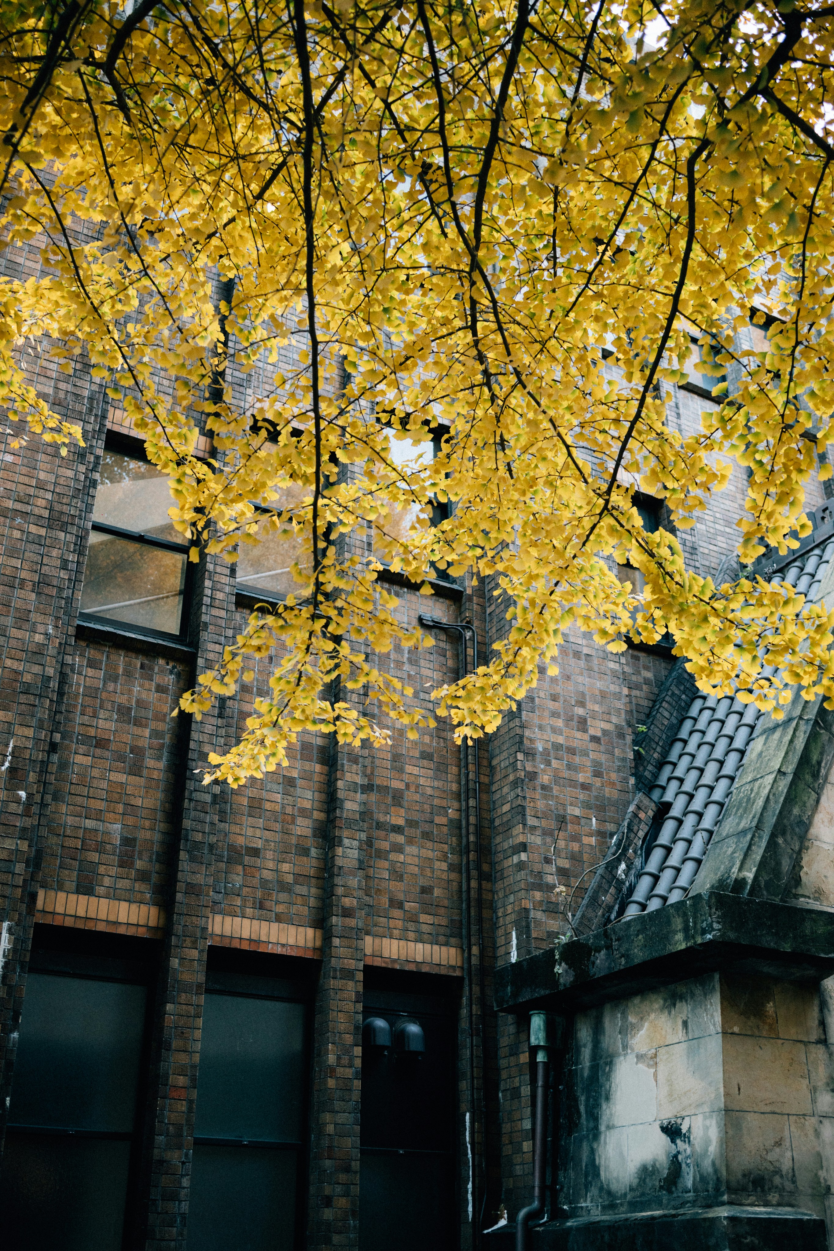 Photo by tsuyoshikozu