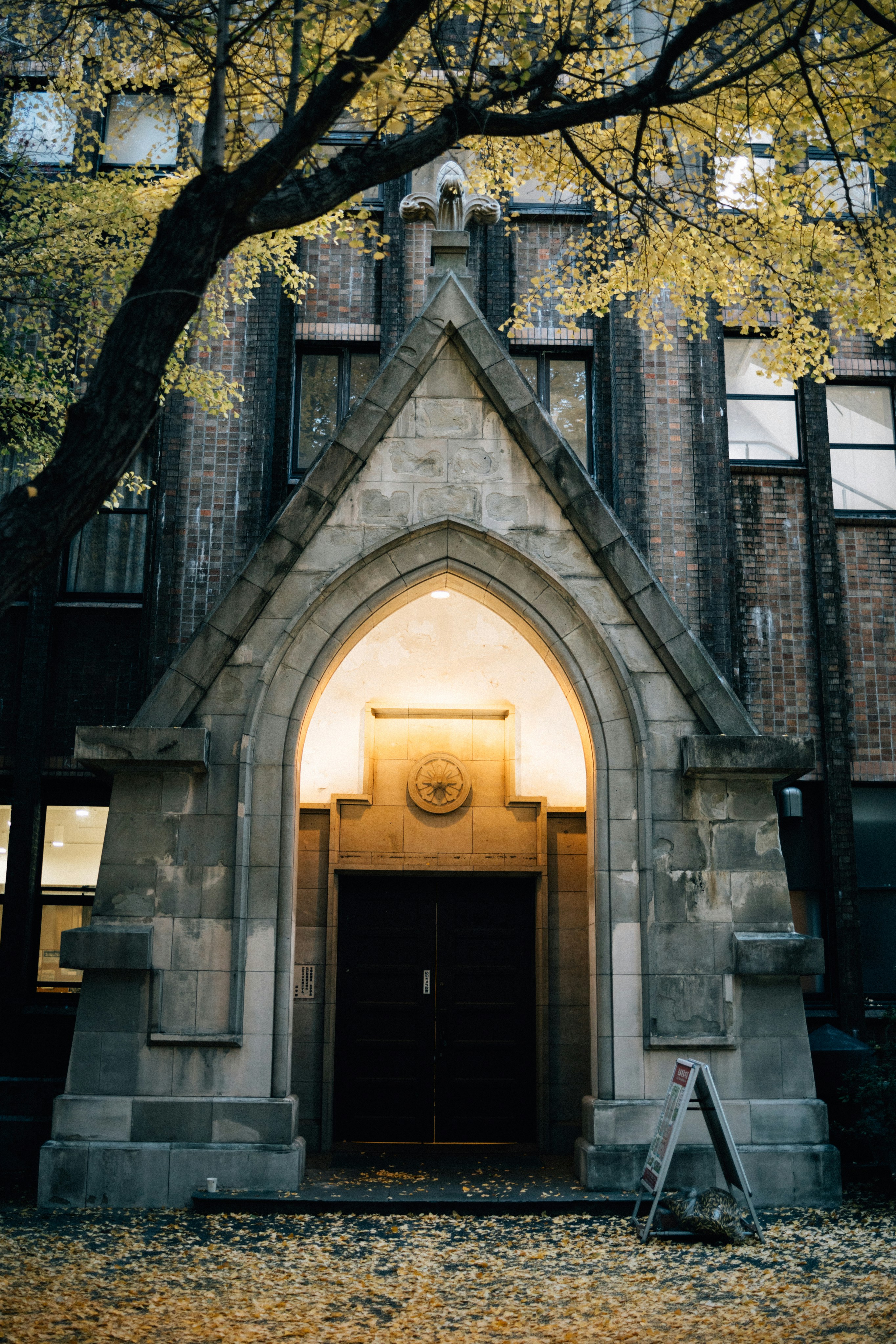 Photo by tsuyoshikozu