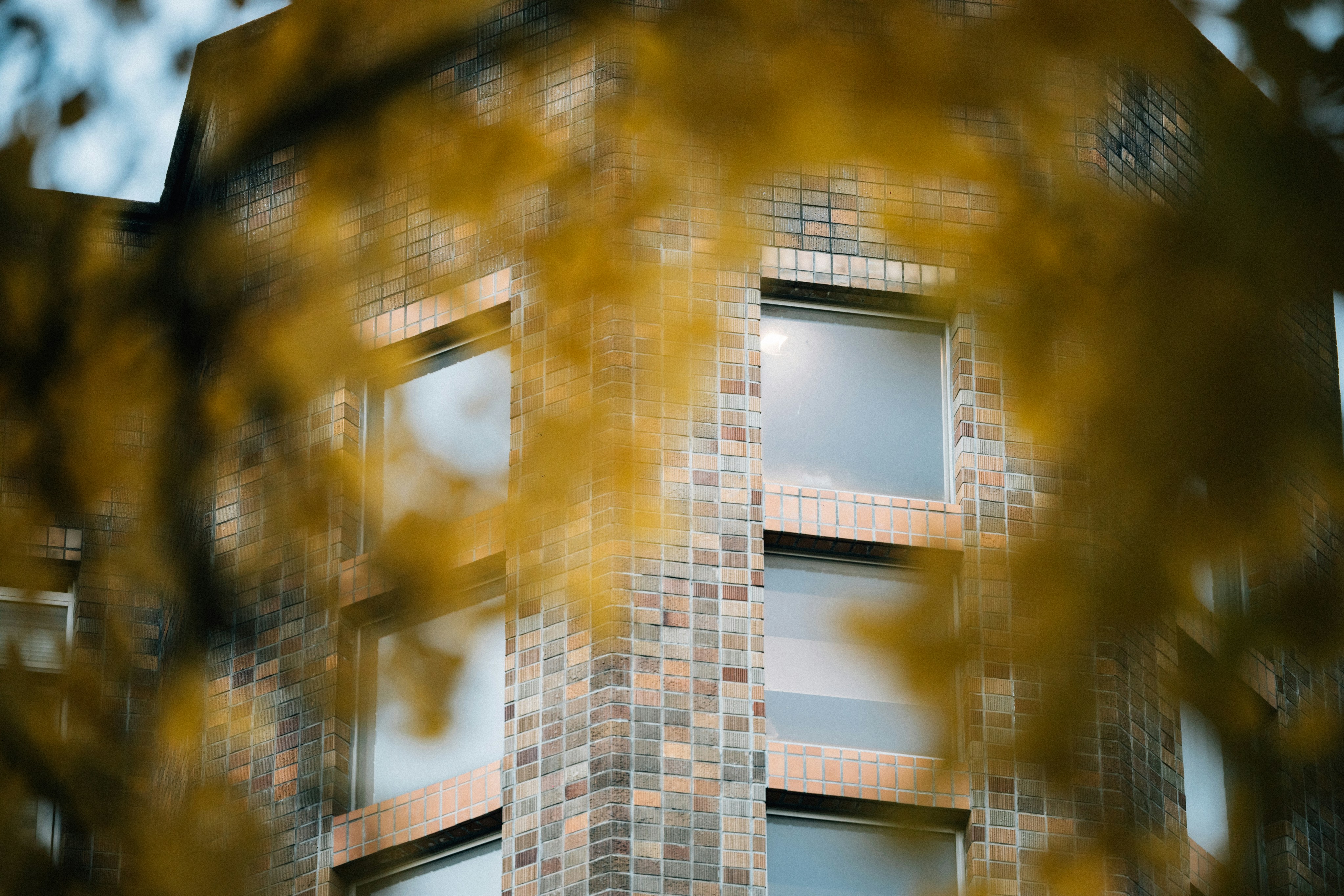 Photo by tsuyoshikozu