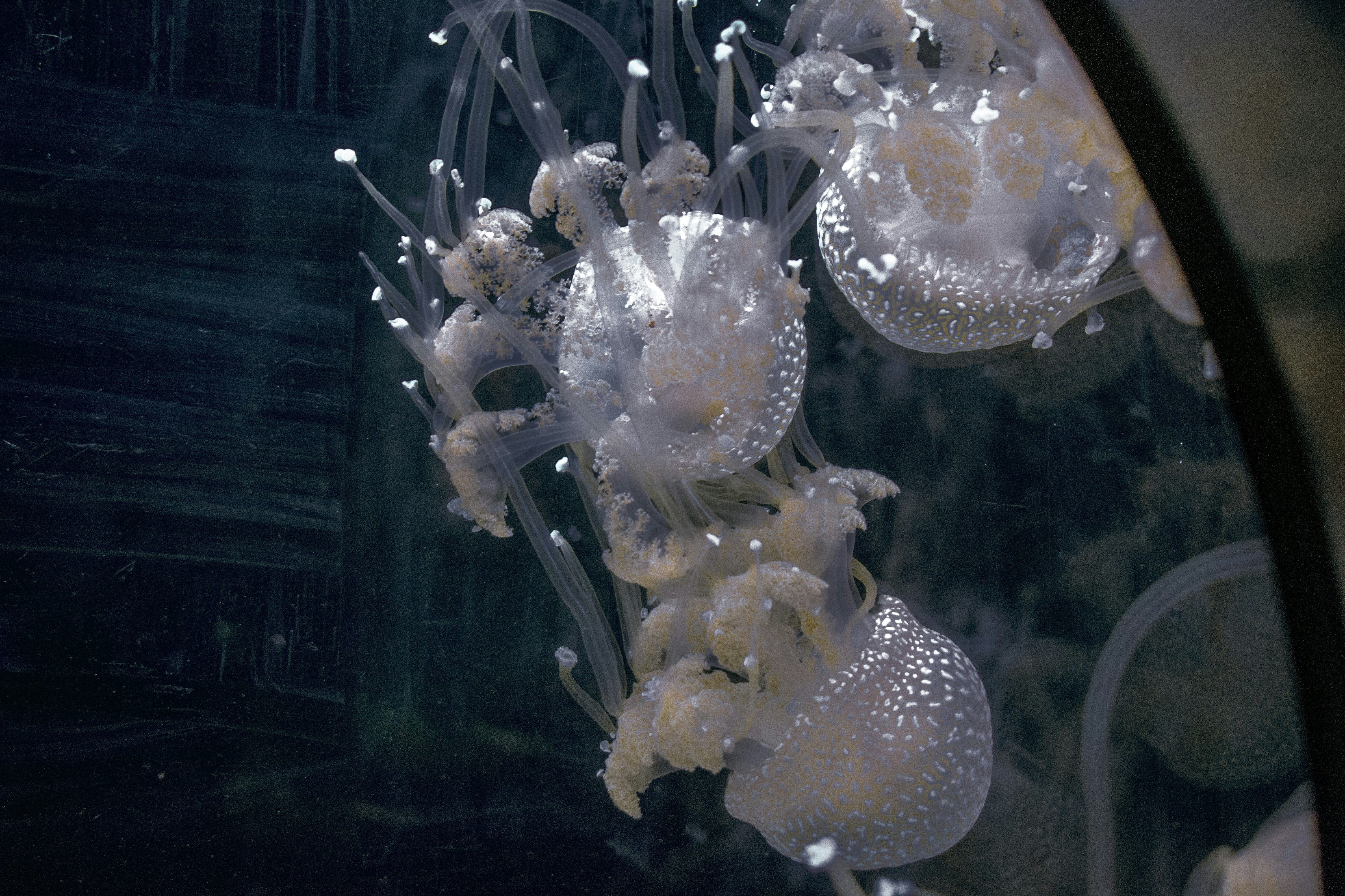 Photo by ellephant_photography