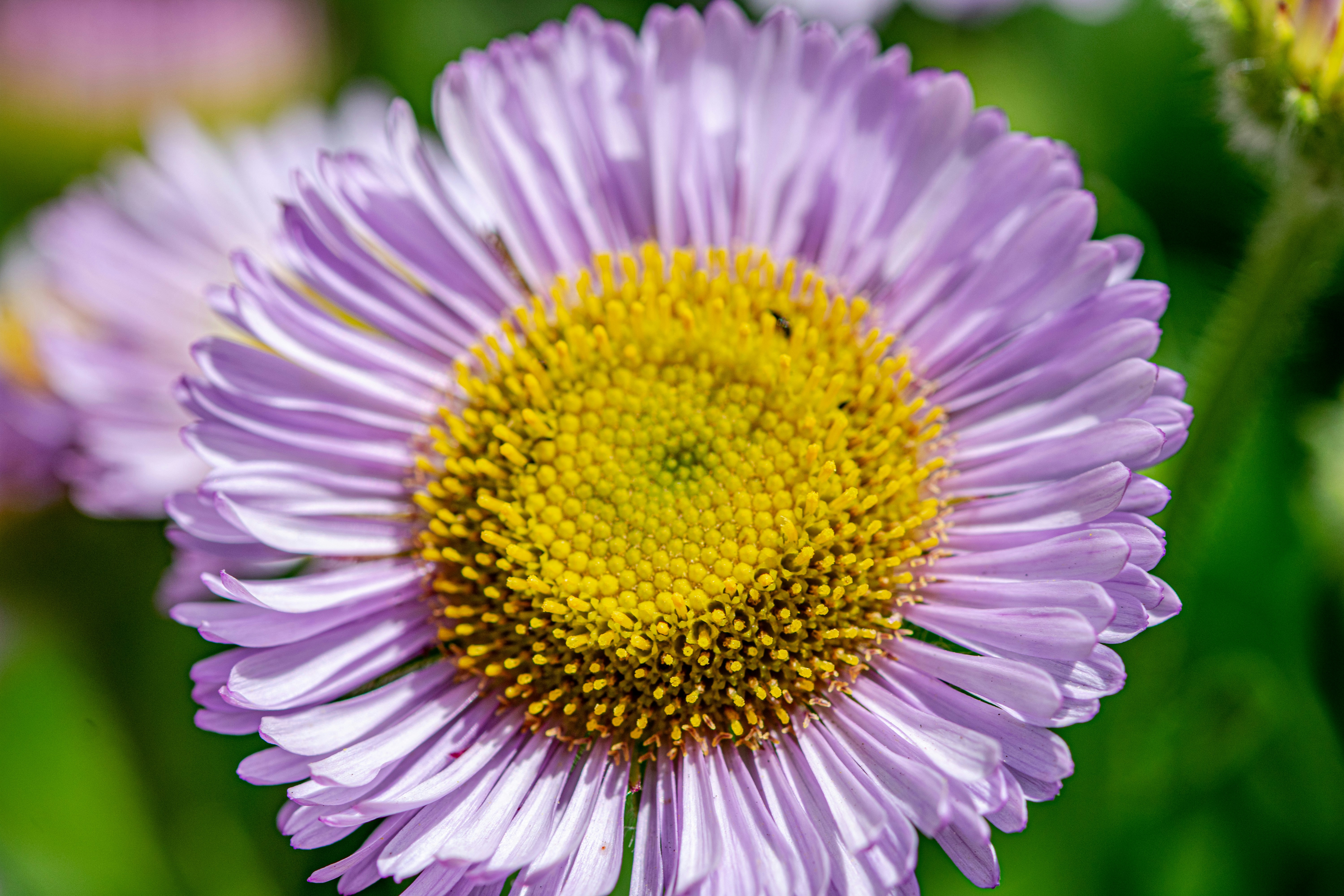 Photo by ellephant_photography