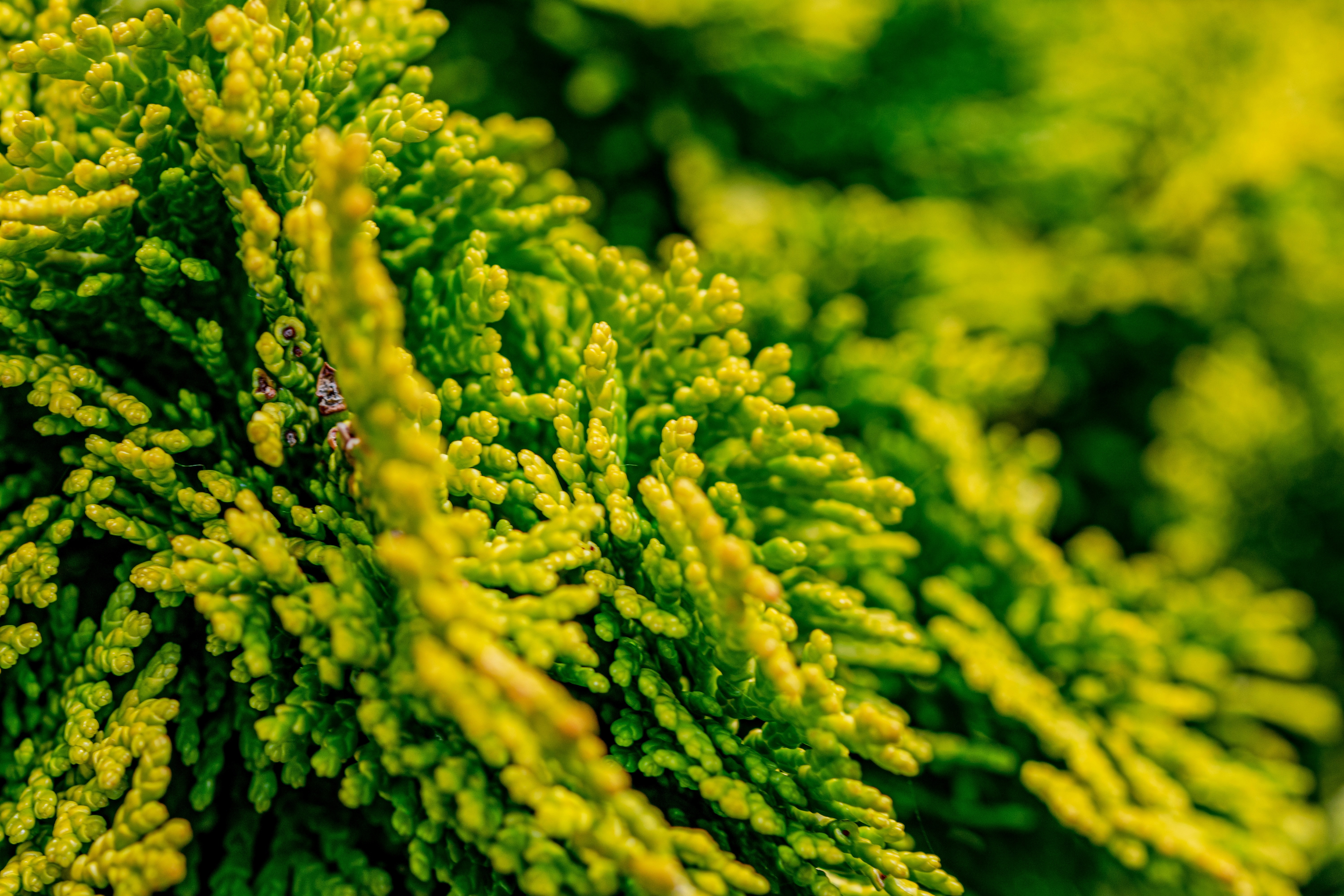 Photo by ellephant_photography