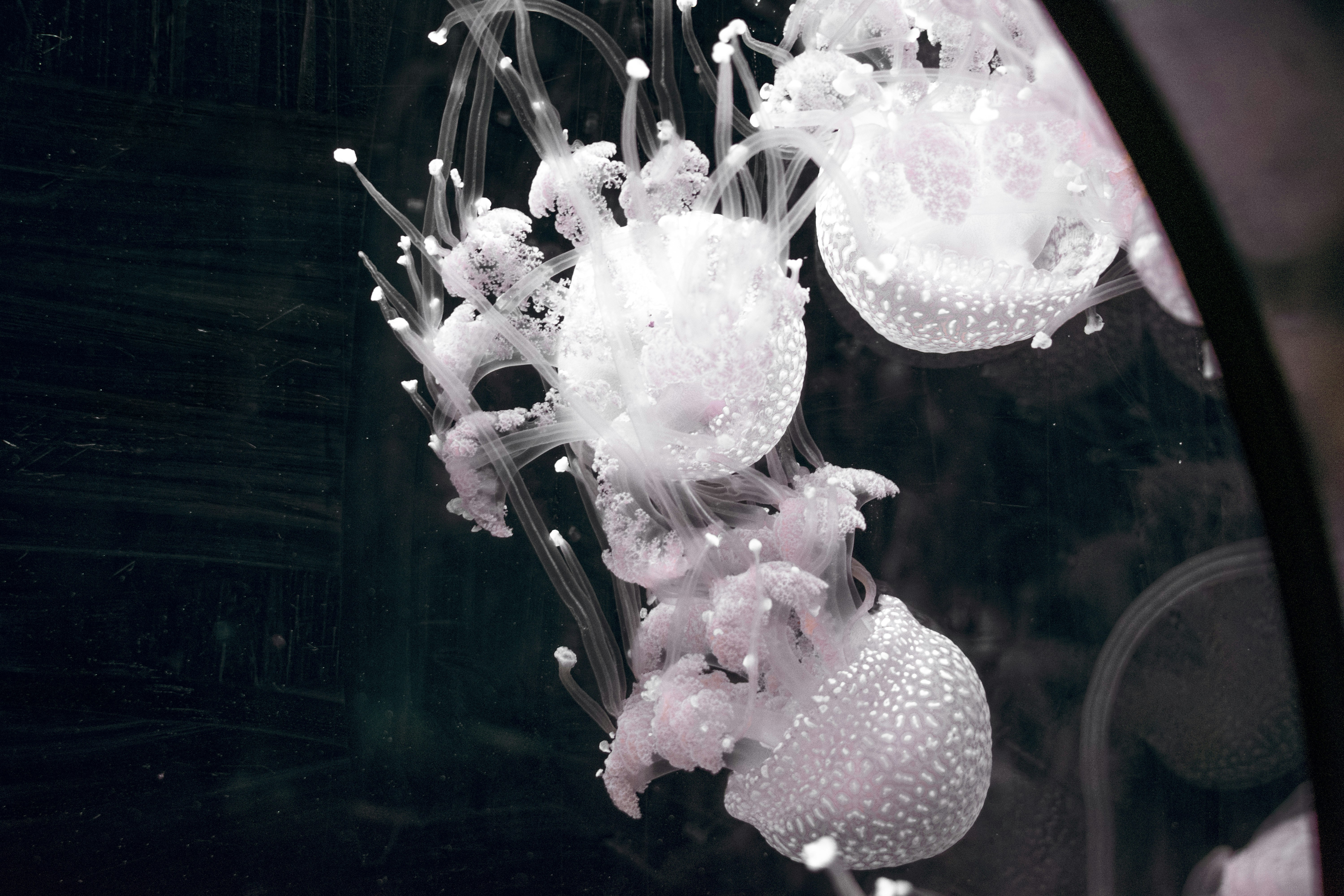 Photo by ellephant_photography