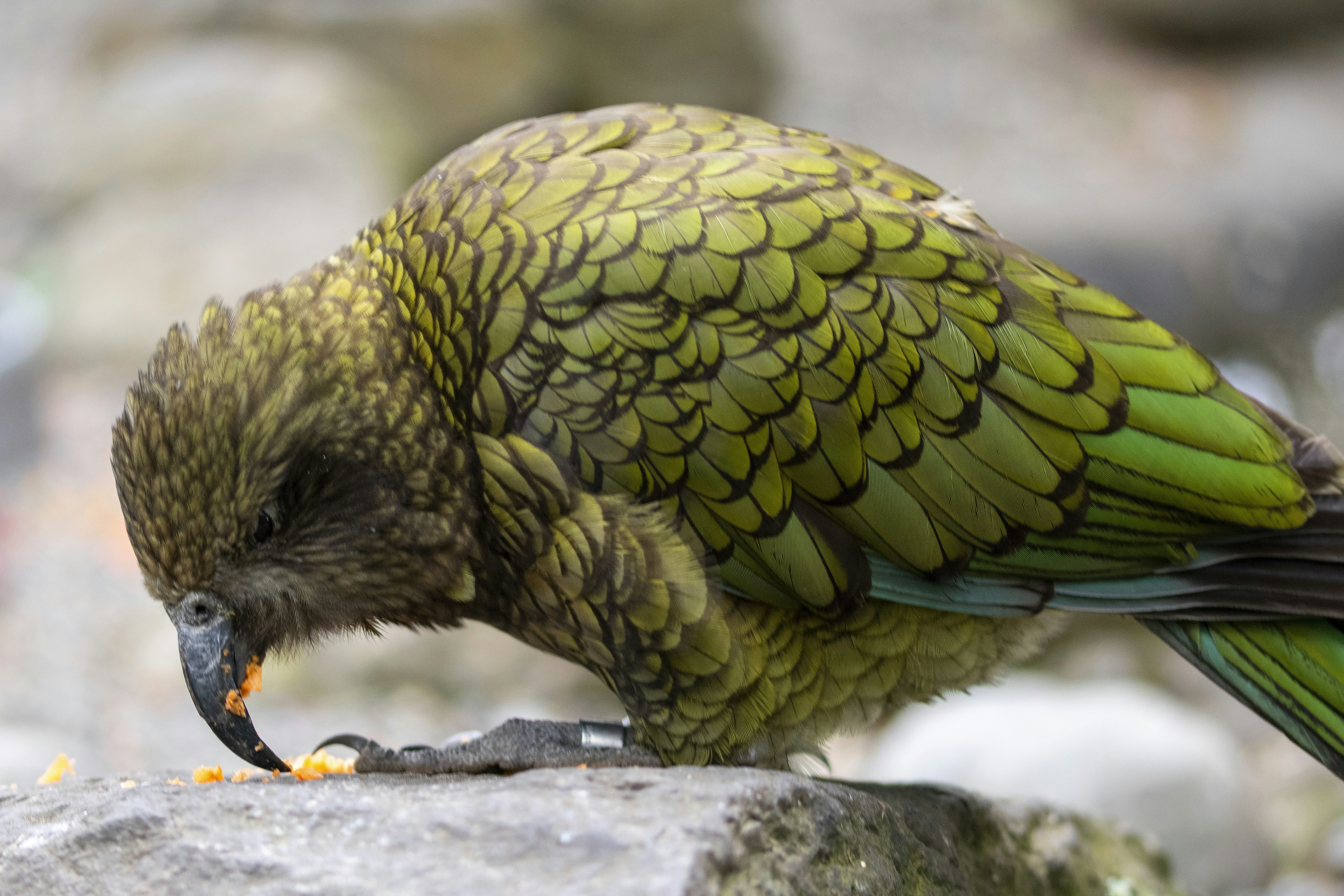 Photo by ellephant_photography