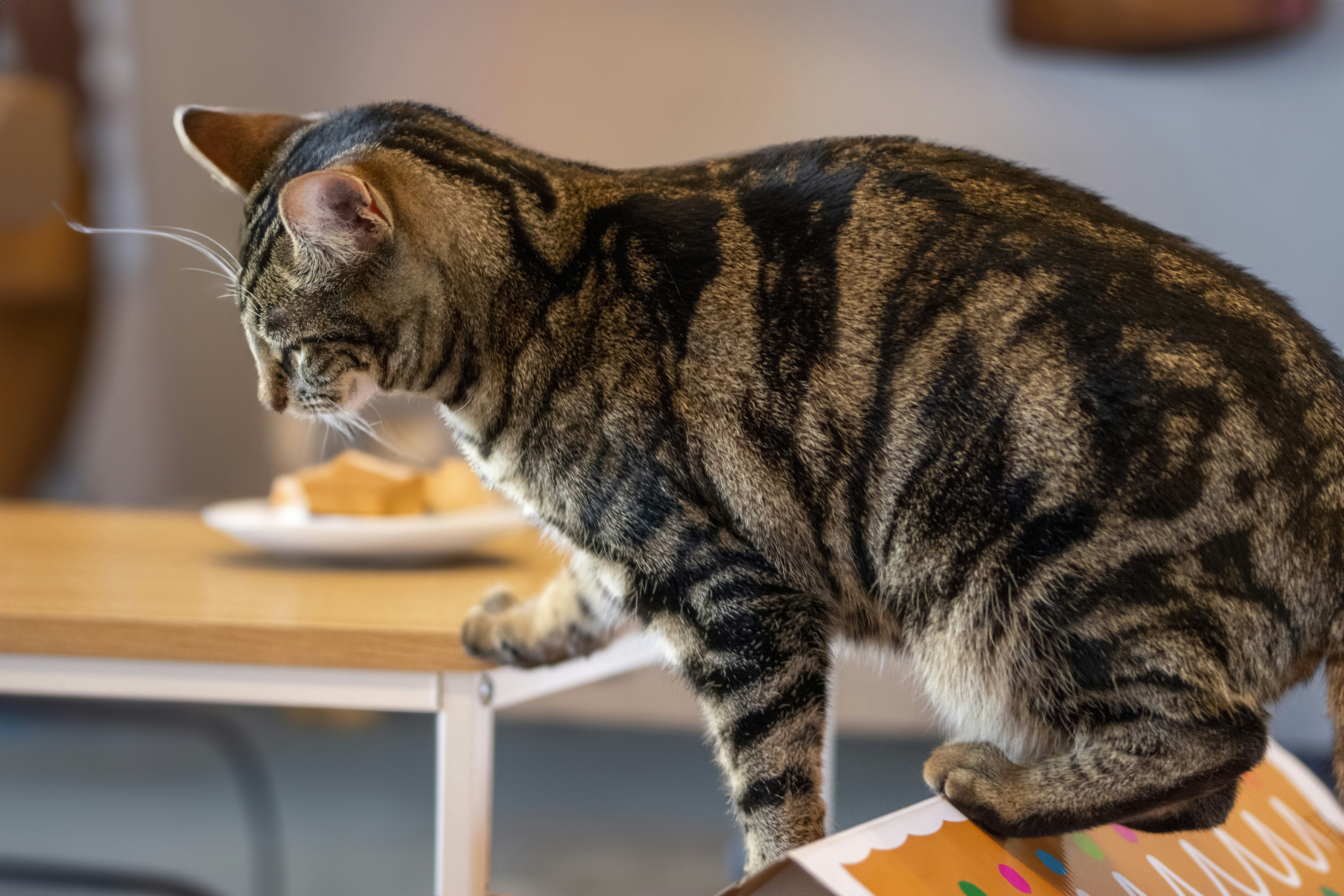 The Power of Play (image credits: unsplash)