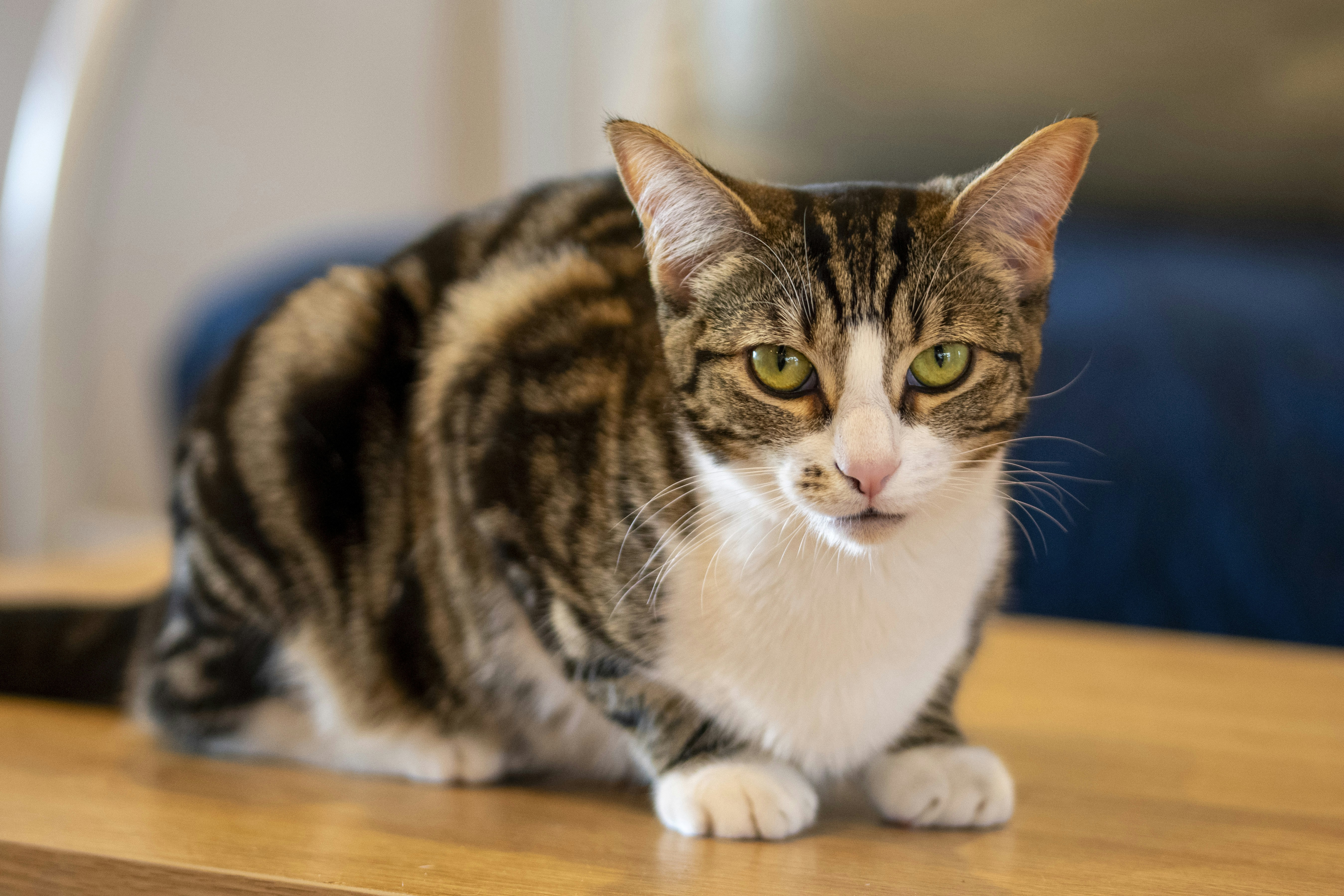 Inspiration Strikes When You Least Expect (image credits: unsplash)