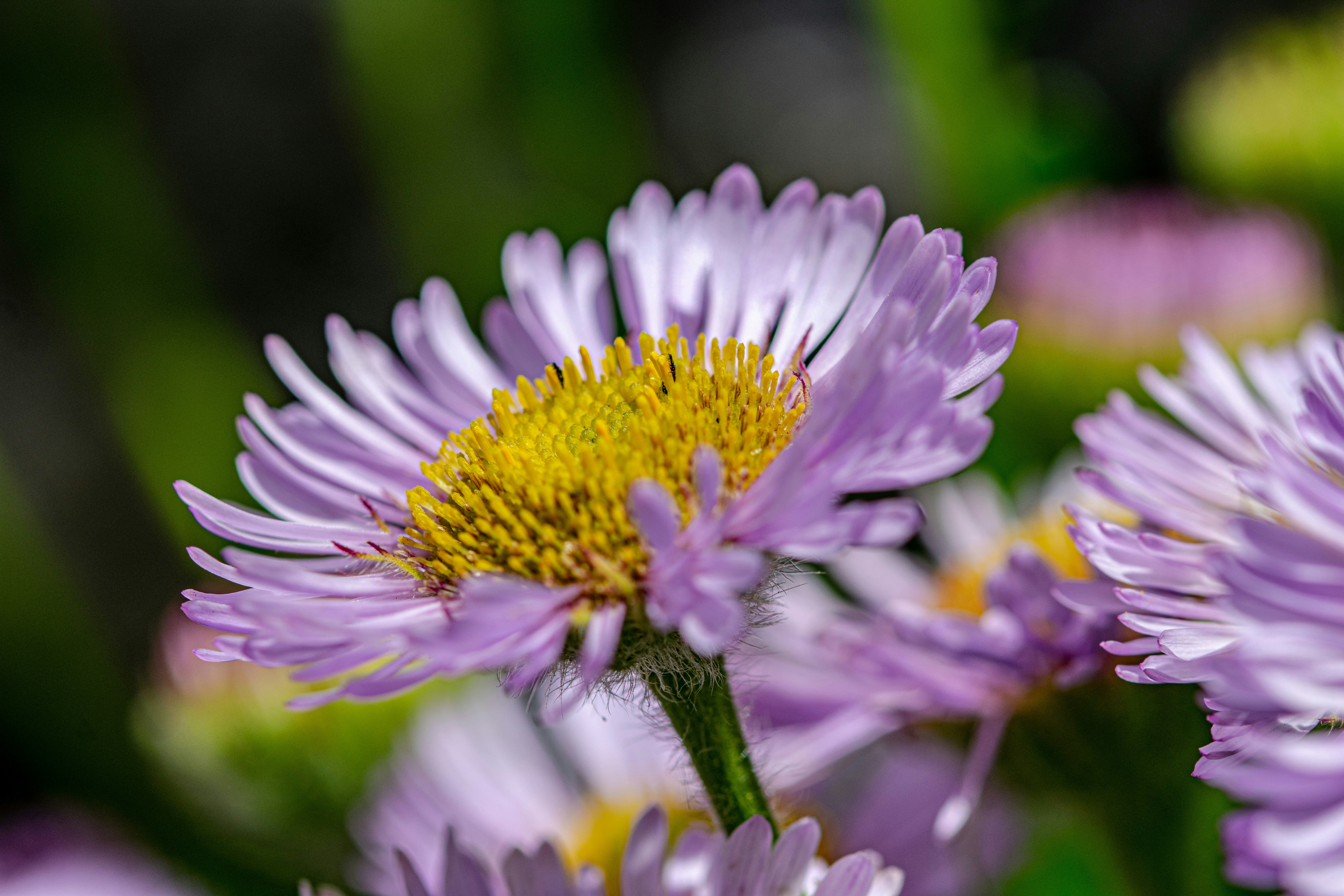 Photo by ellephant_photography