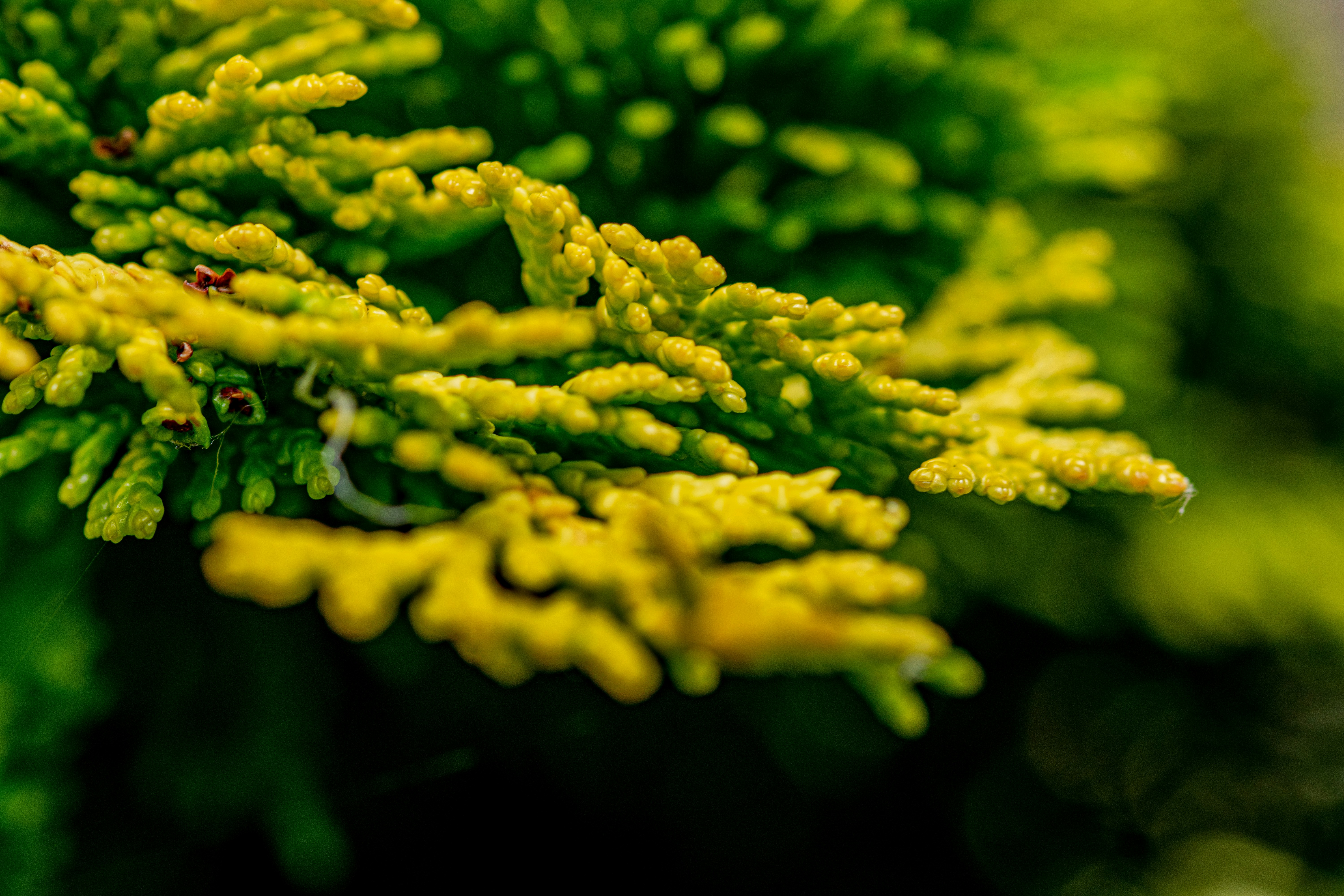 Photo by ellephant_photography