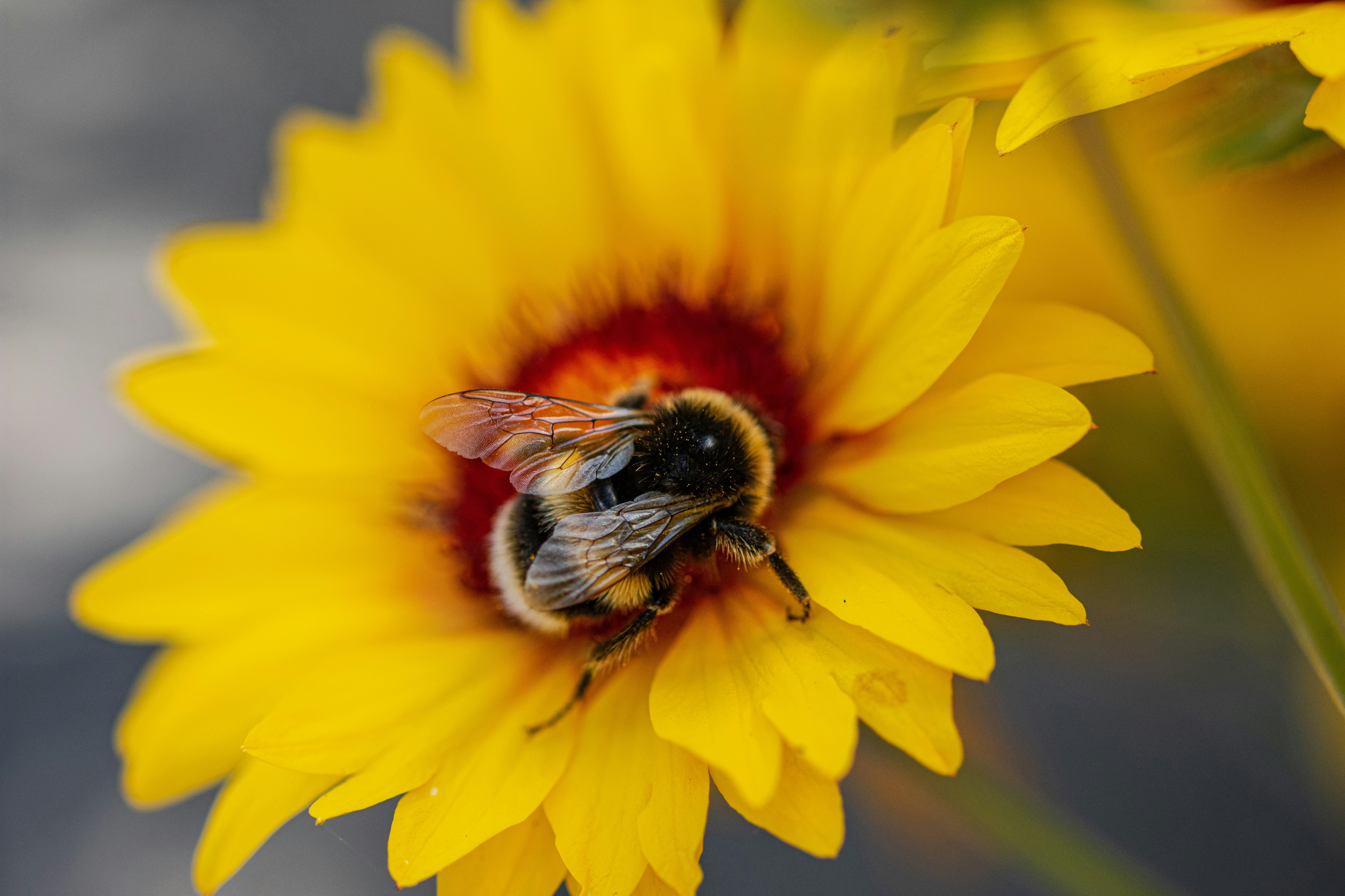 Photo by ellephant_photography