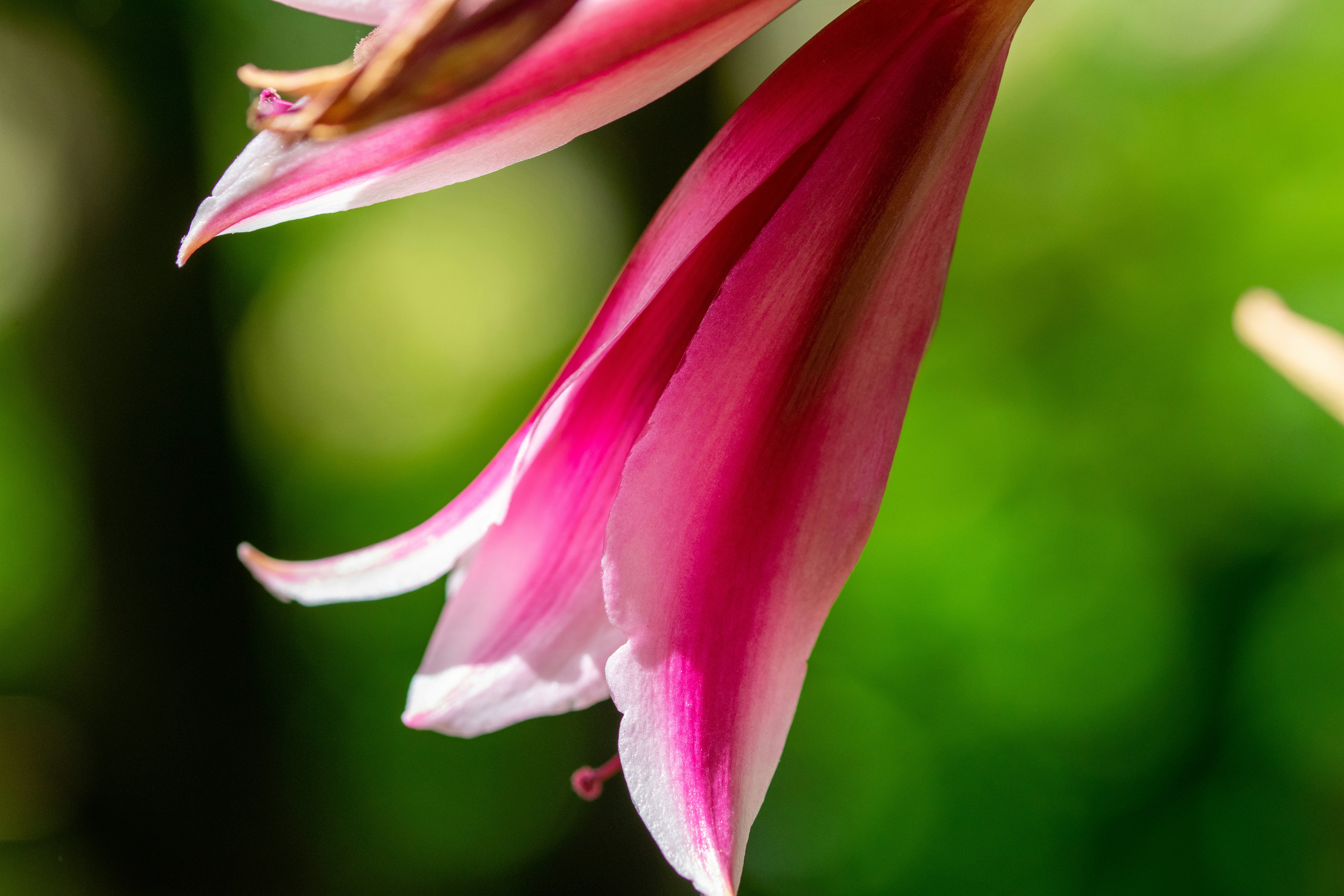 Photo by ellephant_photography