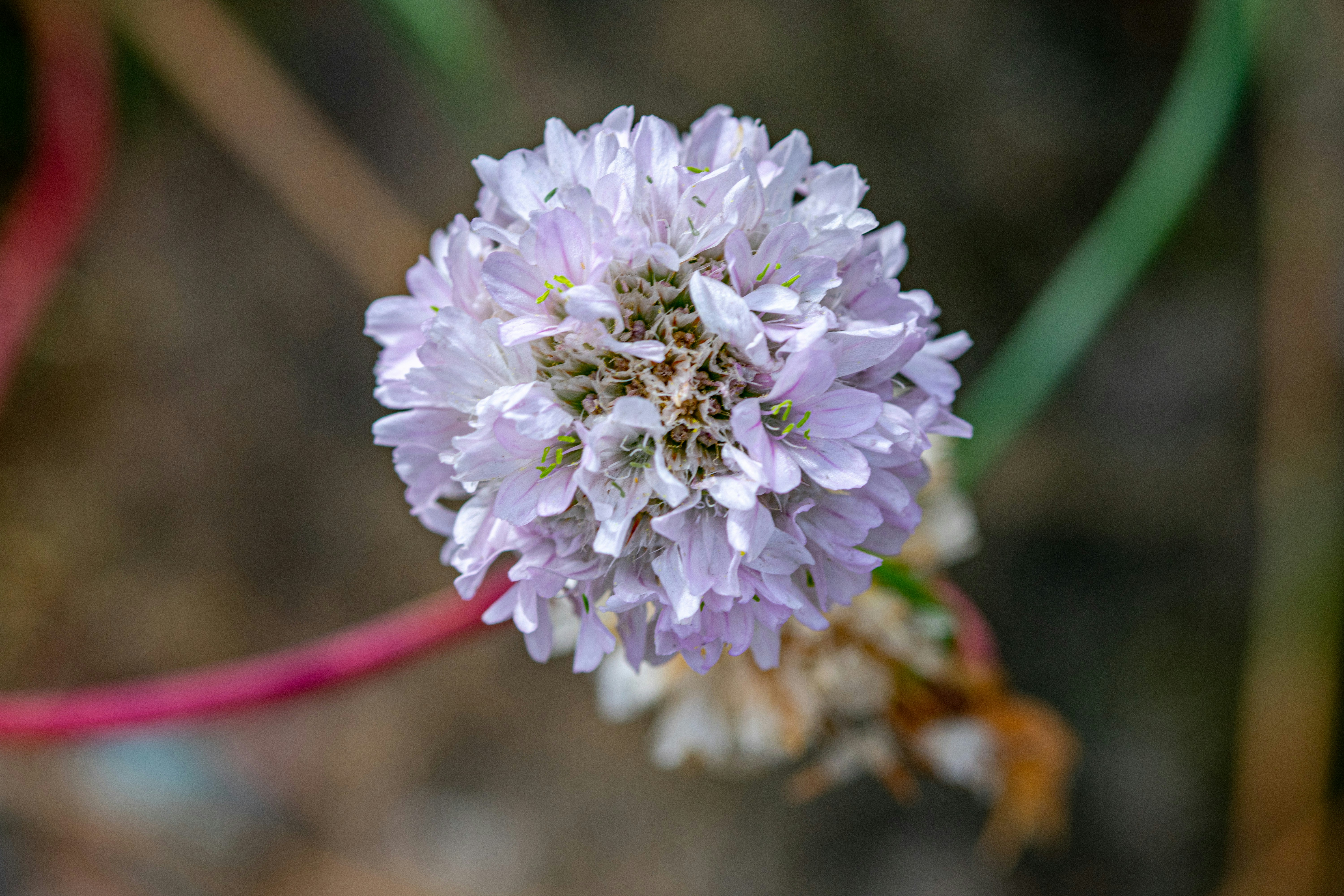 Photo by ellephant_photography