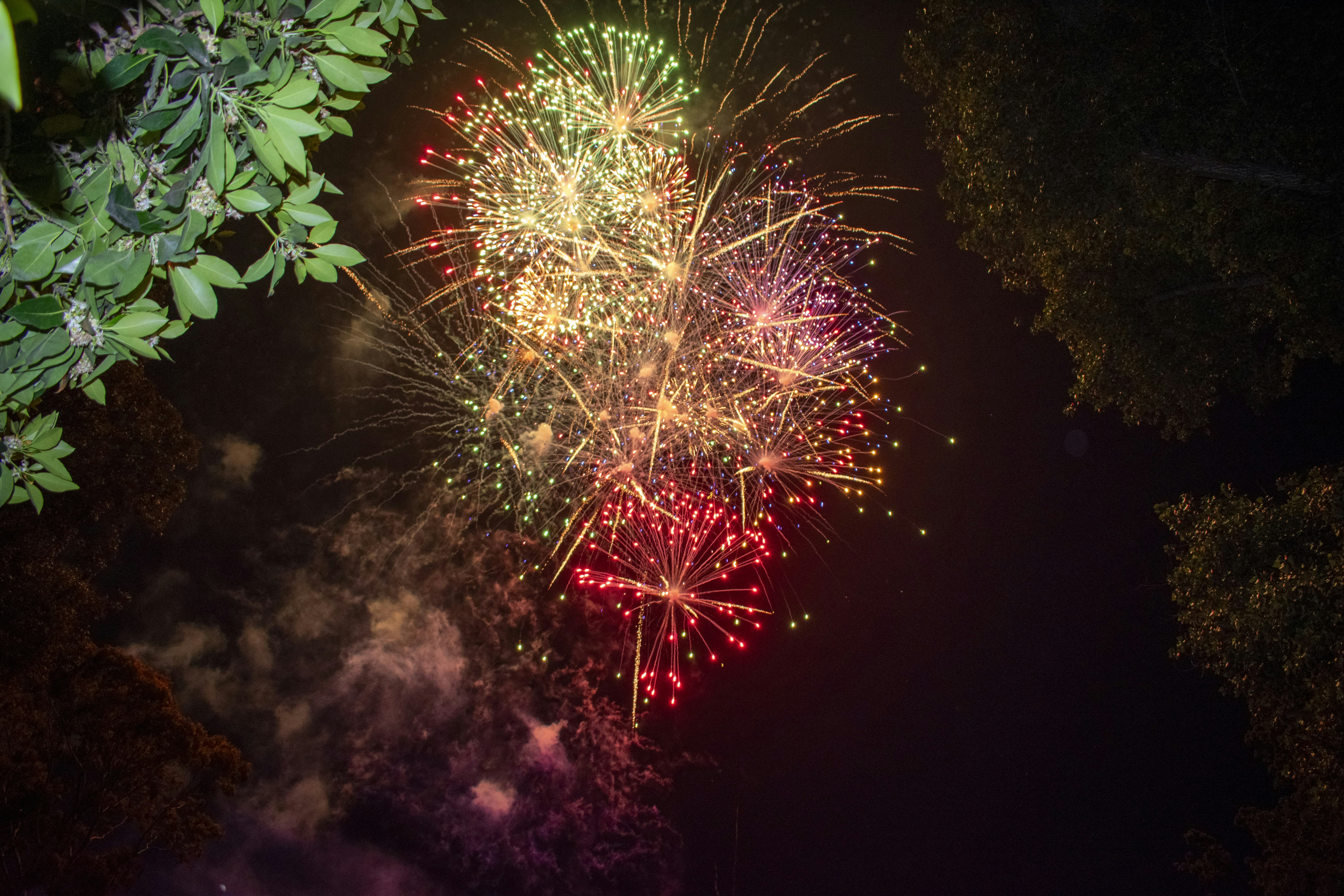 Photo by ellephant_photography