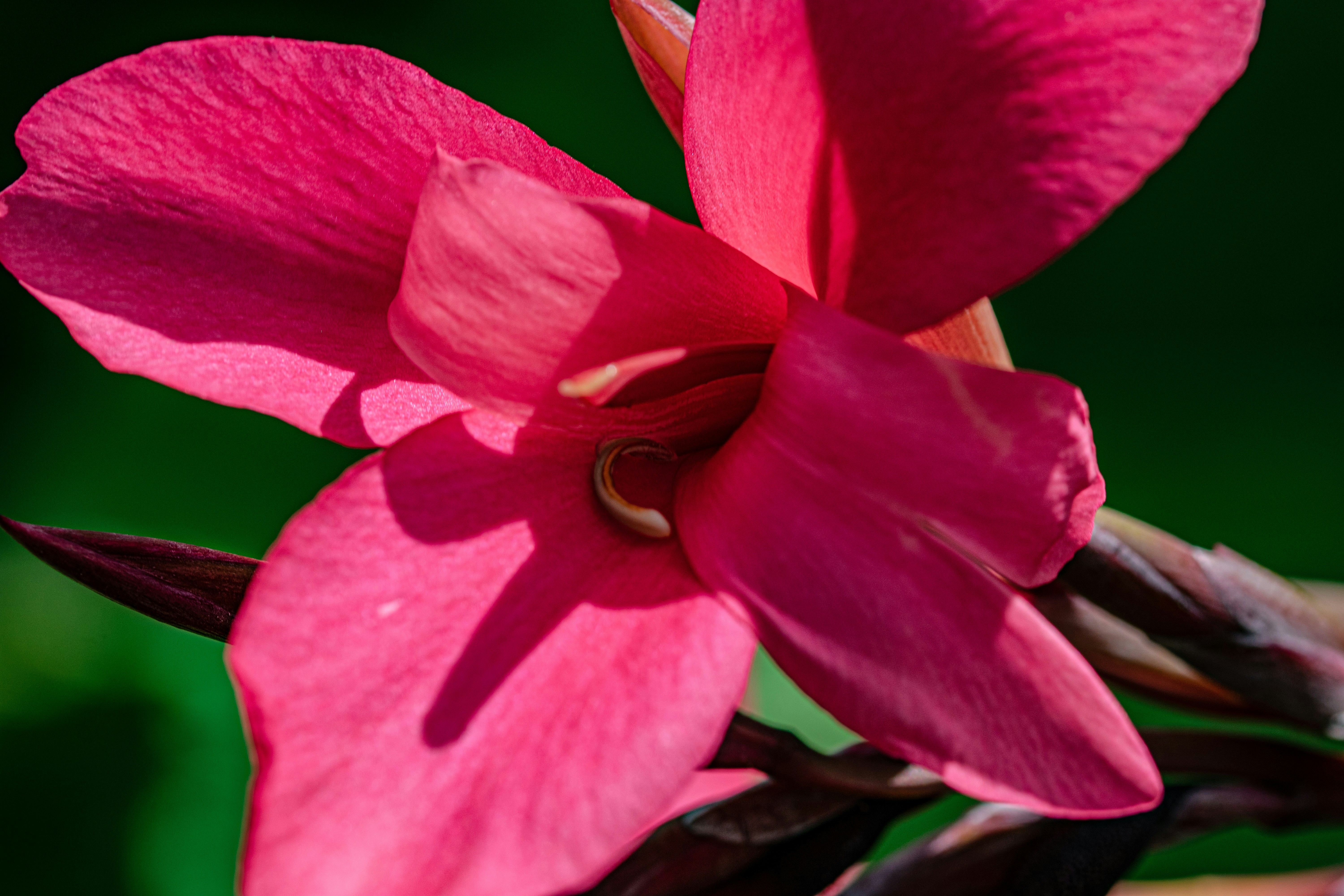 Photo by ellephant_photography