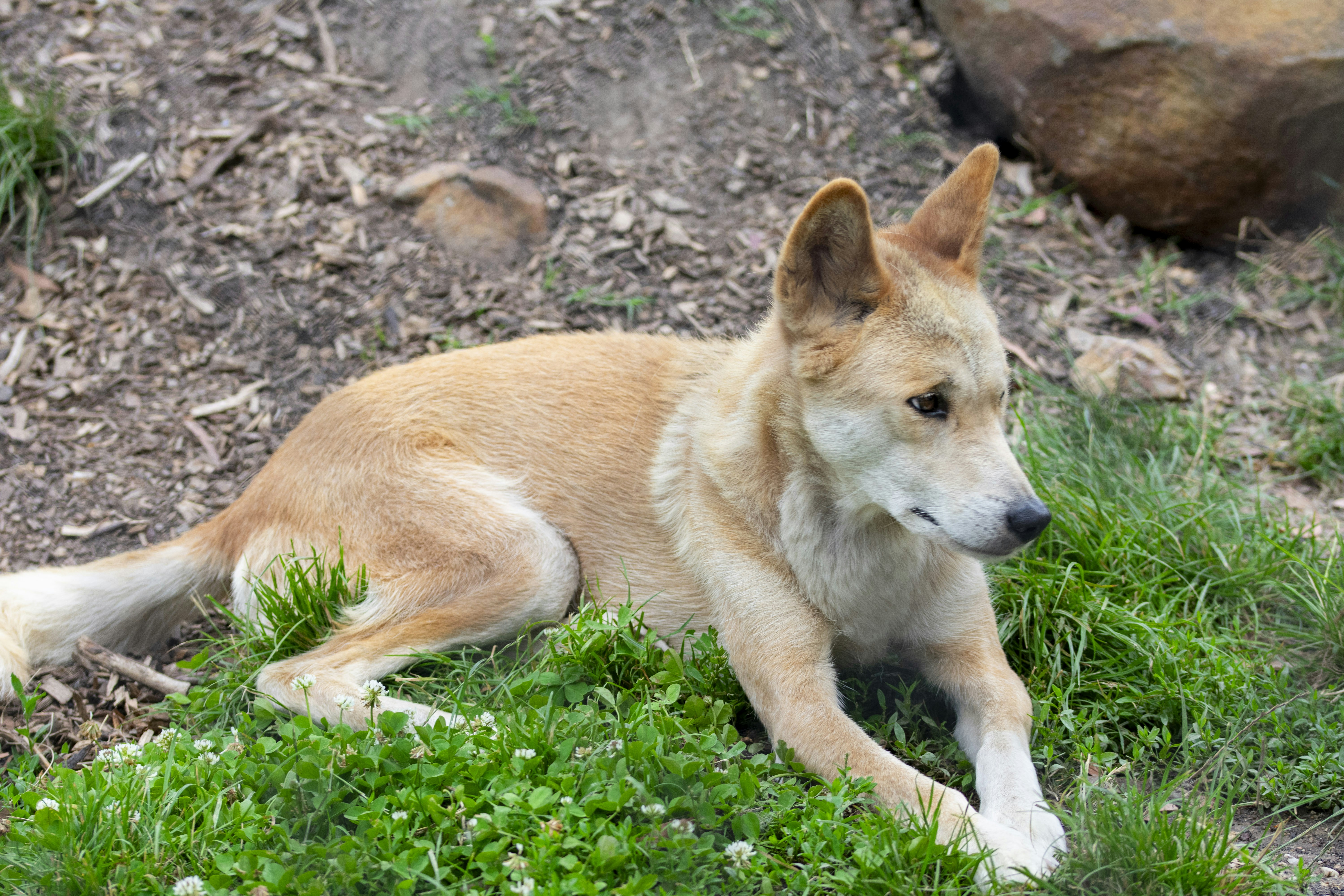 Photo by ellephant_photography